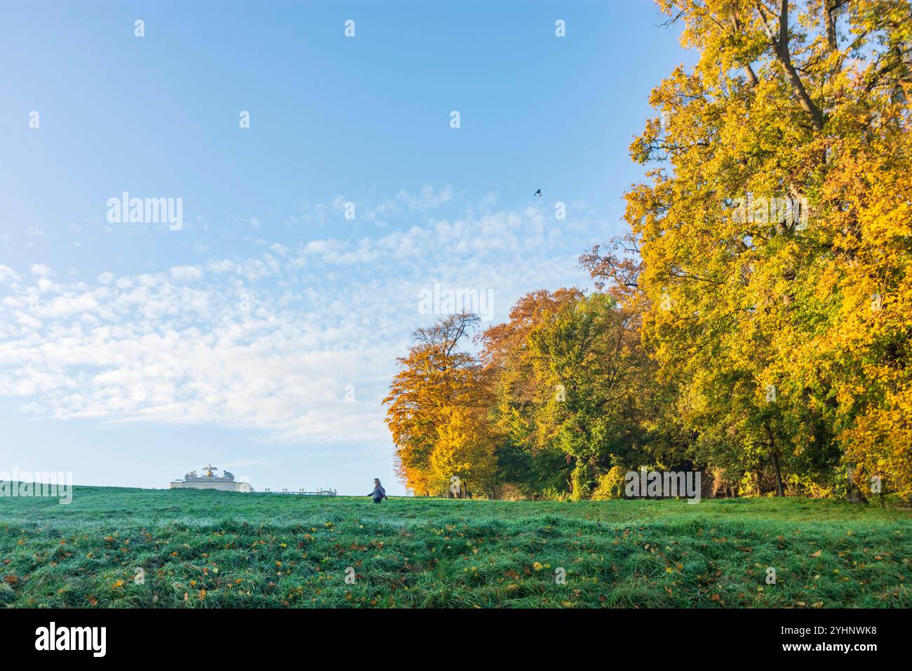 Gloriette im Park Schloss Schönbrunn Wien 13. Hietzing Wien Österreich Stockfoto