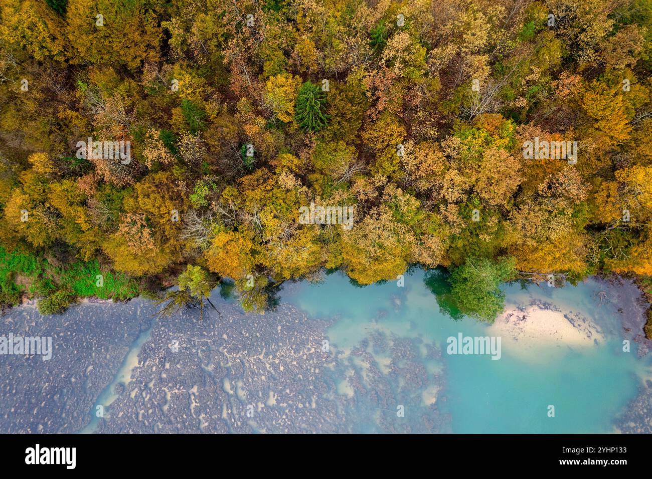 Wunderschöne Herbstfarben, Herbstlaub rund um den Fluss krka in der Region dolenjska in slowenien, sauberer Fluss umgeben von einer wunderschönen ländlichen Landschaft Stockfoto