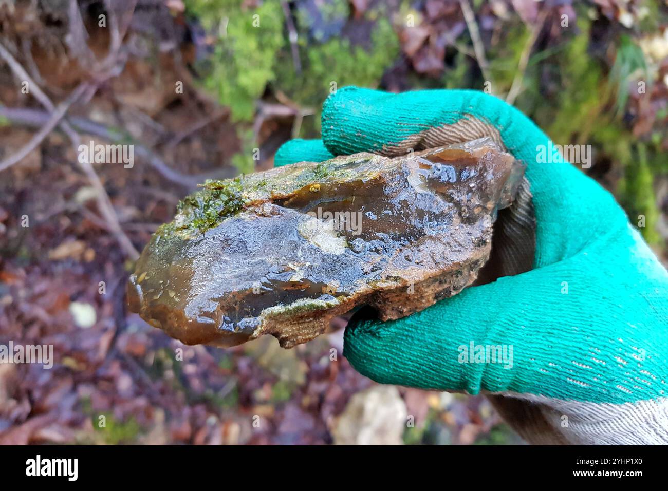 Ein braunes Chalcedonfragment, das aus dem Boden gegraben wurde, auf Mineraljagd Stockfoto