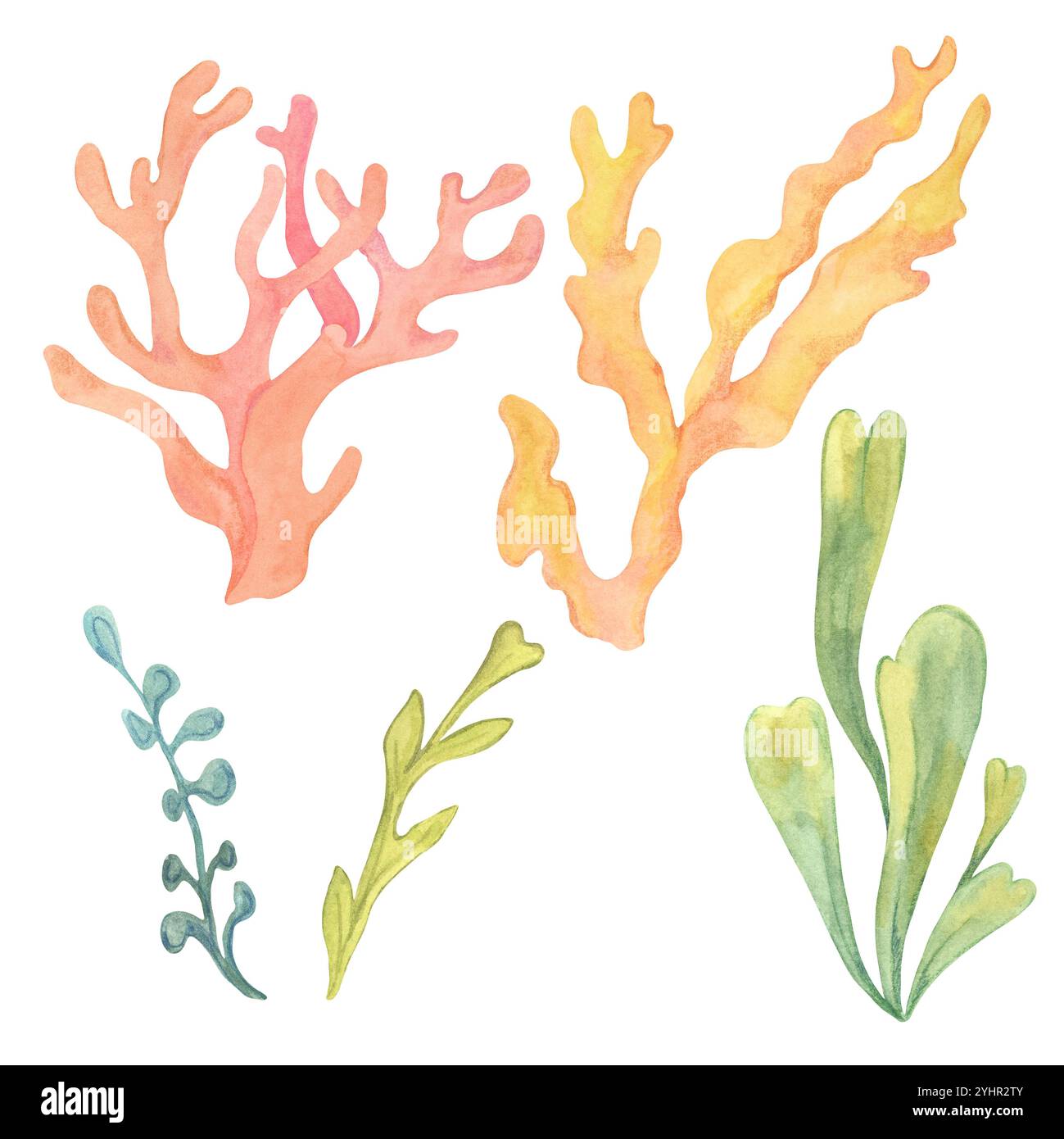 Sammlung von gelben und grünen Meeresalgen mit orangefarbenen und roten Korallen in verschiedenen Formen. Handgezeichnetes Algenclipart in Aquarellfarben für marineblaue Designs, die eine vielfältige Unterwasservegetation bieten Stockfoto