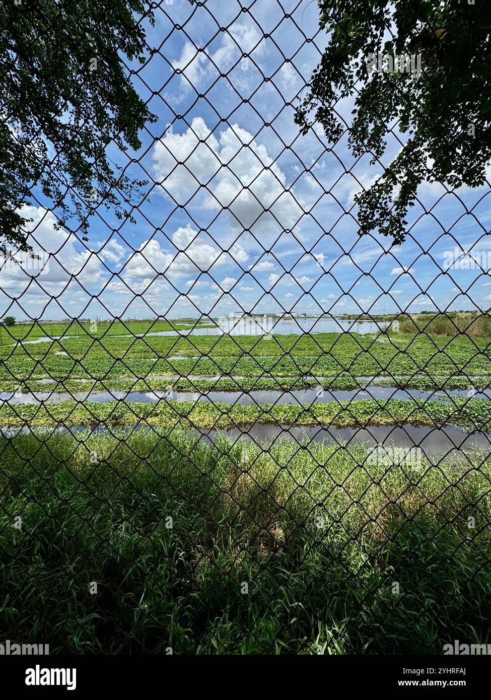 S21 Killing Fields & Tuol Sleng Museen, Verhörzentrum und Vernichtungslager, unter der Pol Pot Diktatur (1975-1979), Phnom Penh, Kambodscha Stockfoto