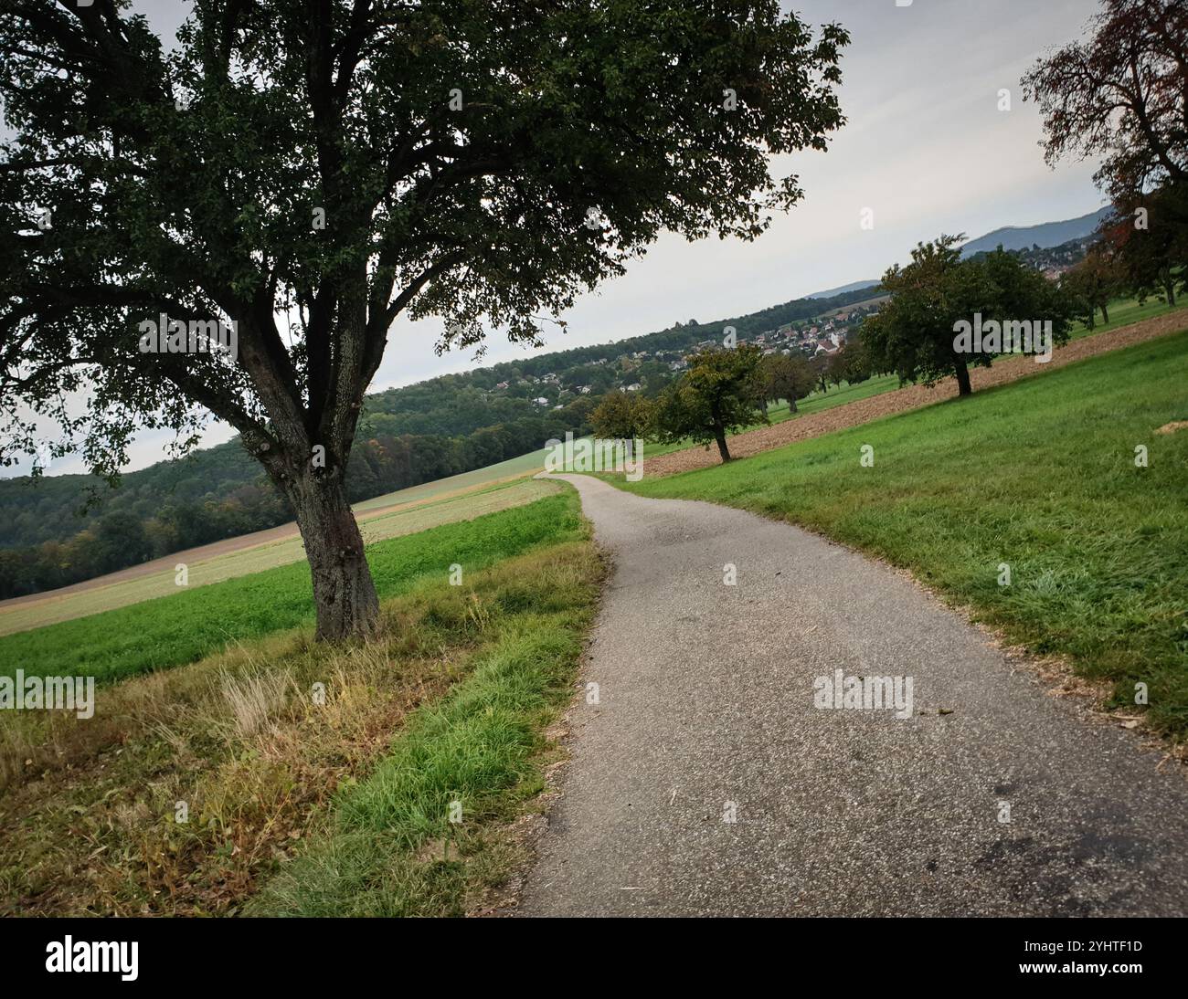 Straße auf dem Land. Enge Straße zwischen Dörfern im Kanton Solothurn. Einspurige Straße in ländlicher Gegend zwischen Bäumen und Feldern. Stockfoto