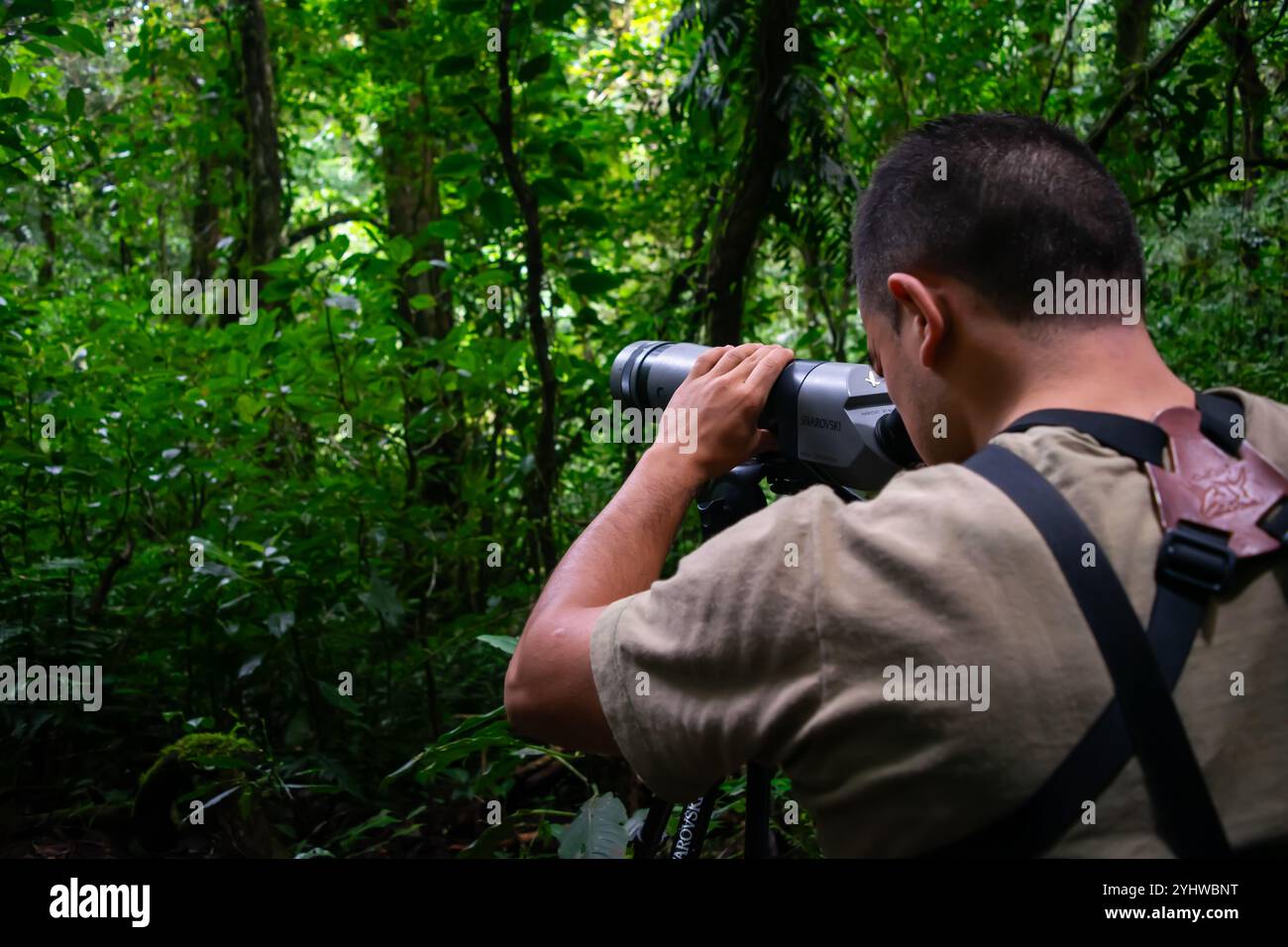 George of the Cloud Forest, Reiseleiter und Spezialist, mit einem Spektiv in Monterey Nebelwald während der Fauna Tour, Costa Rica Stockfoto