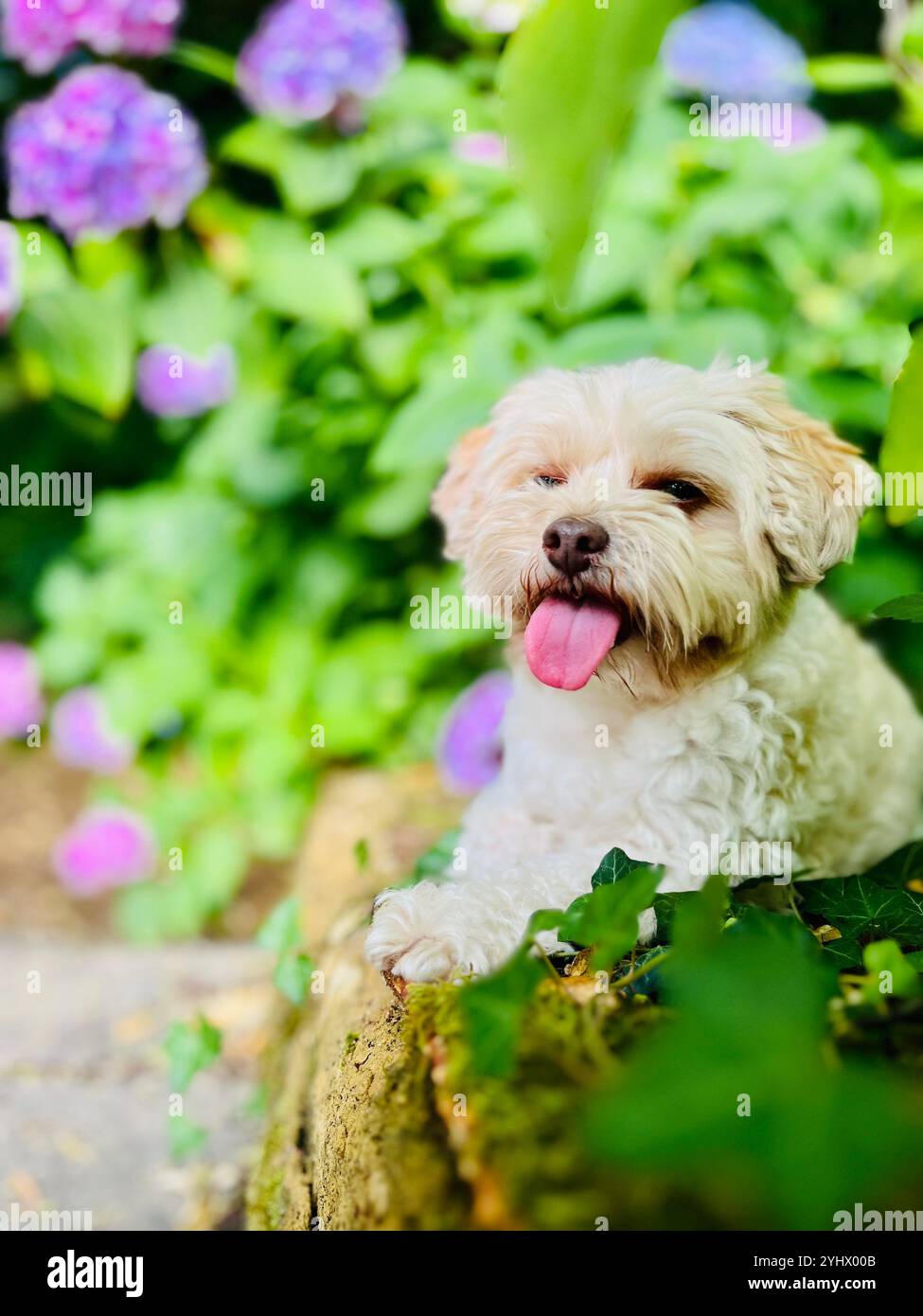 Leidenschaft, Freiheit, Vergnügen - Smartphone-aufgenommenes Stockfoto