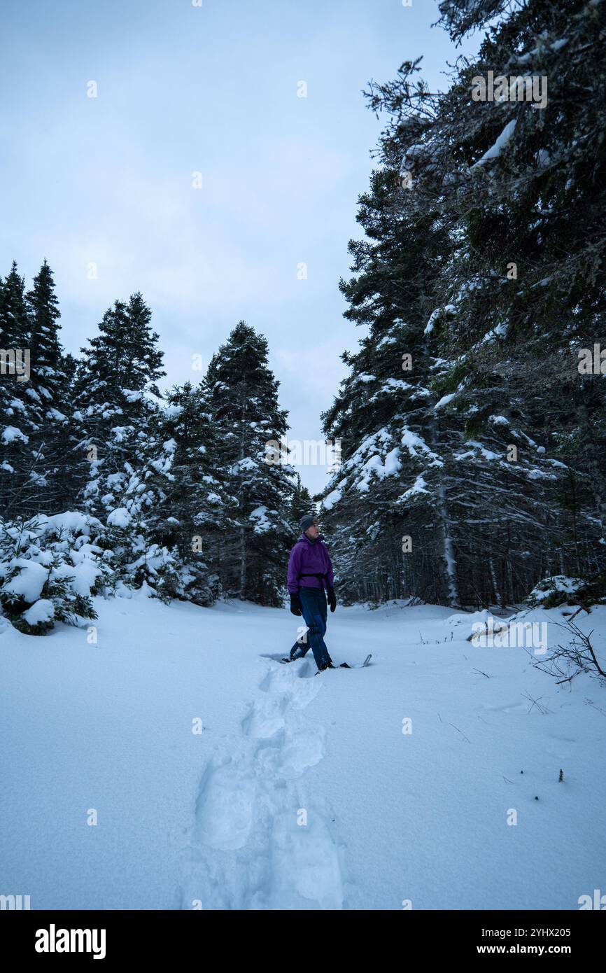 Anticosti Island, Québec, Kanada - 14. Januar 2024: Eine in Winterkleidung gekleidete Person spaziert auf einem schneebedeckten Feld in der Stadt Port-Menier Stockfoto Anticosti Island, Québec, Kanada - 14. Januar 2024: Eine in Winterkleidung gekleidete Person spaziert auf einem schneebedeckten Feld in der Stadt Port-Menier Stockfoto