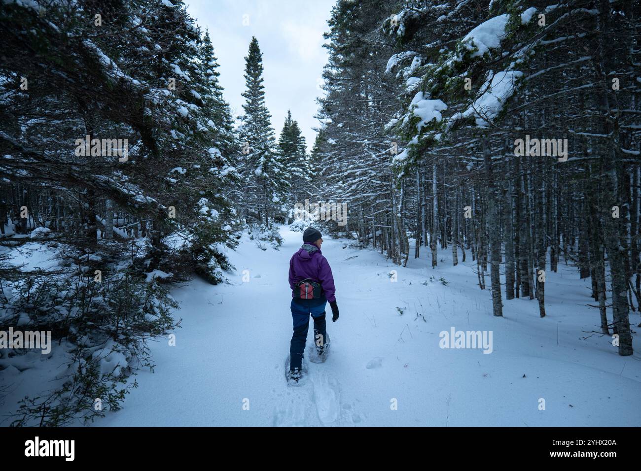 Anticosti Island, Québec, Kanada - 14. Januar 2024: Eine in Winterkleidung gekleidete Person spaziert auf einem schneebedeckten Feld in der Stadt Port-Menier Stockfoto Anticosti Island, Québec, Kanada - 14. Januar 2024: Eine in Winterkleidung gekleidete Person spaziert auf einem schneebedeckten Feld in der Stadt Port-Menier Stockfoto