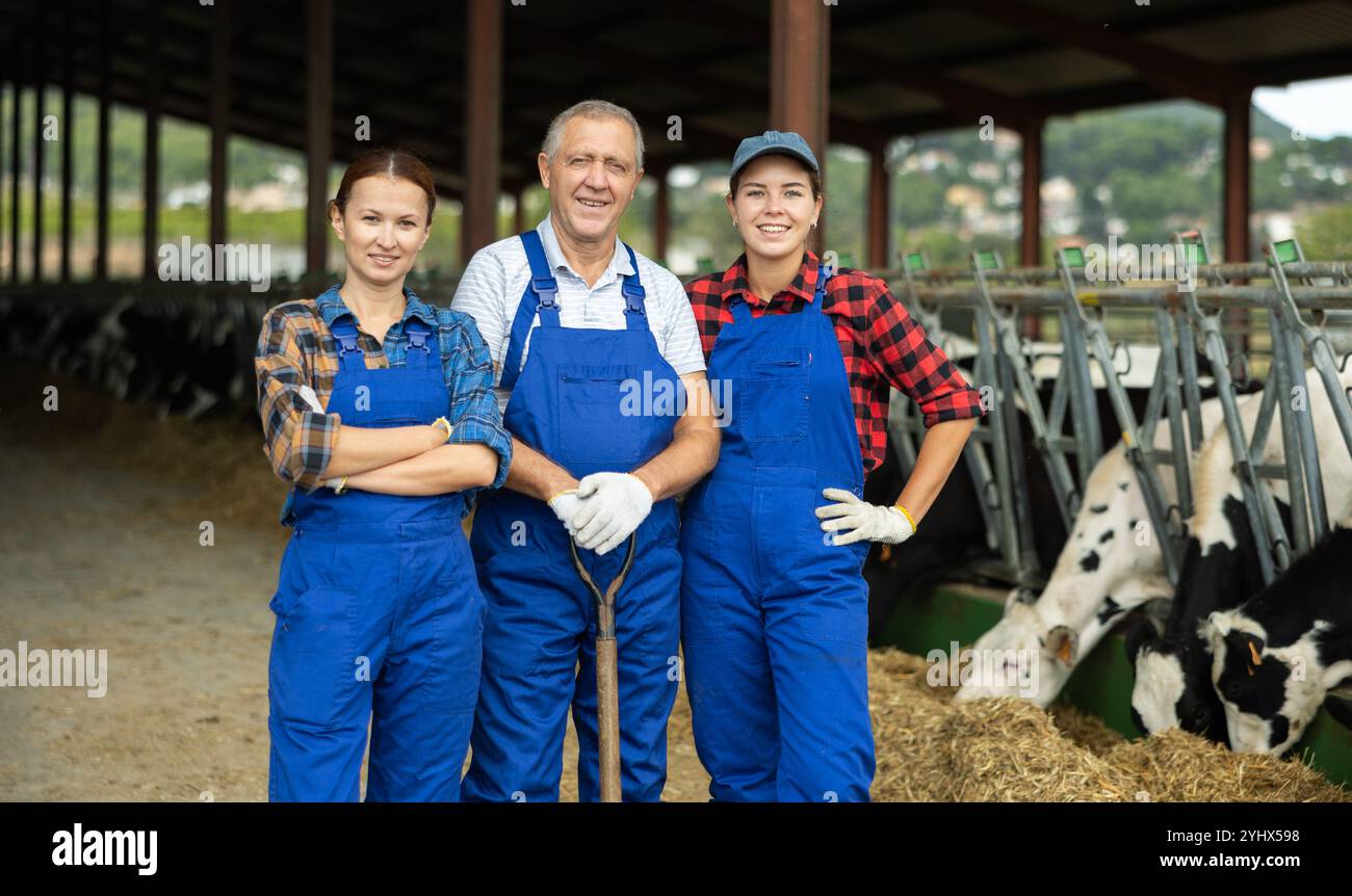 Mann und zwei Frauen, die im Kuhstall arbeiten Stockfoto