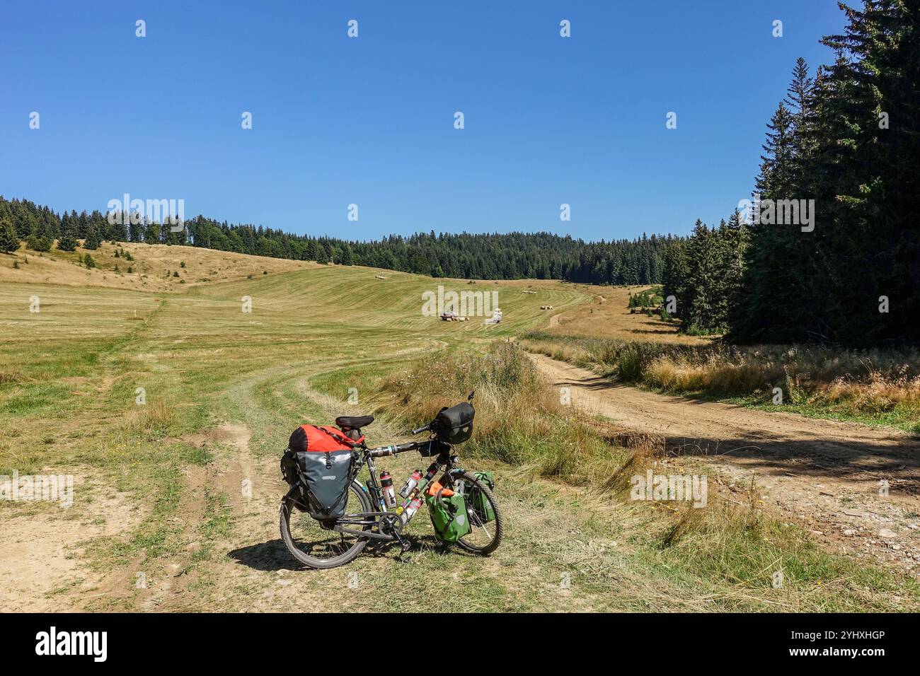 Fahren Sie mit dem Fahrrad in den weiten offenen Feldern in der Tatra der Slowakei, über 1000 m Höhe Stockfoto