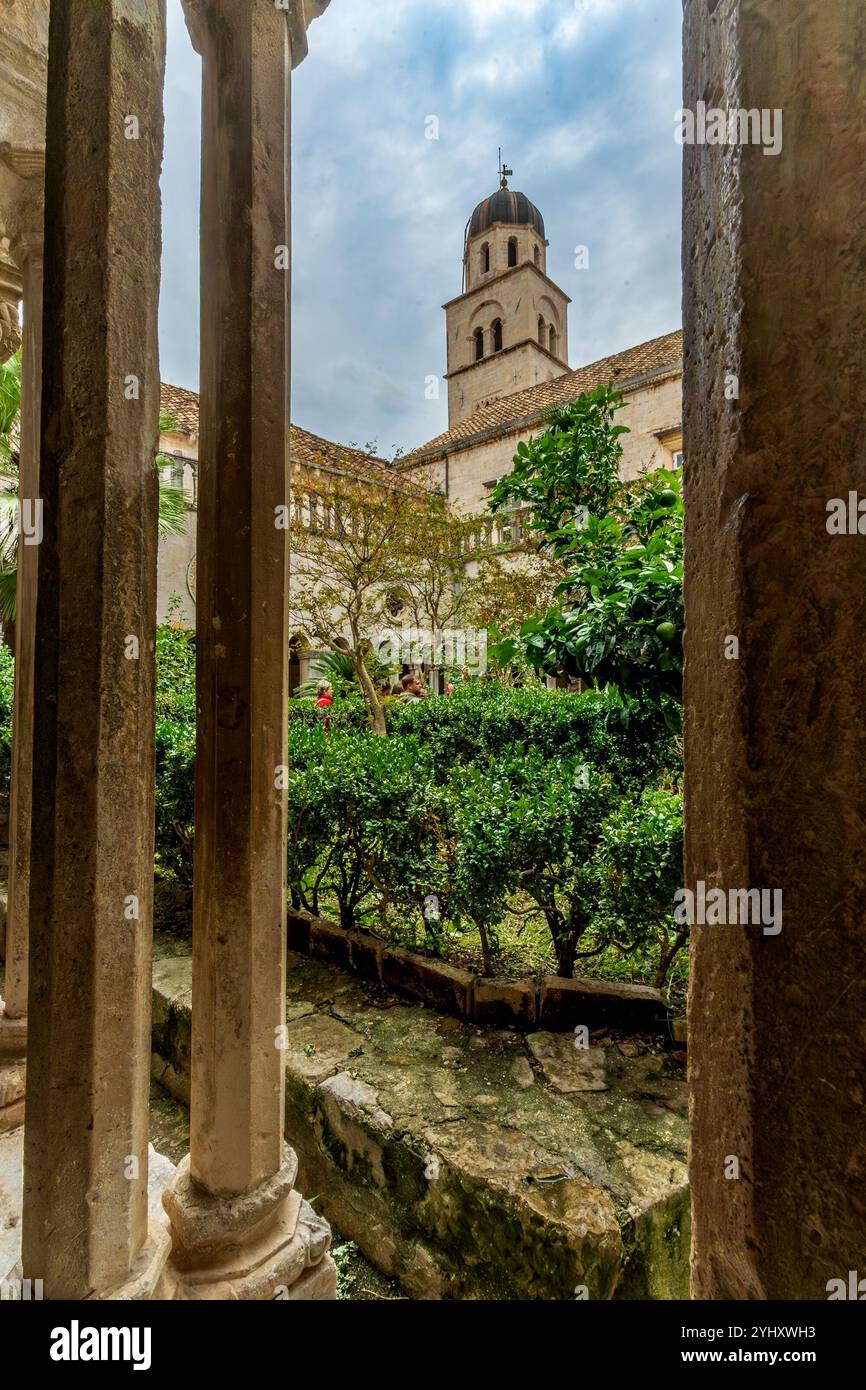 Dubrovnik – HR – 18. Okt. 2024 das Innere des Franziskanerklosters von Dubrovnik verfügt über einen ruhigen Kreuzgang mit verzierten Säulen, einen großen, gewölbten Burschen Stockfoto
