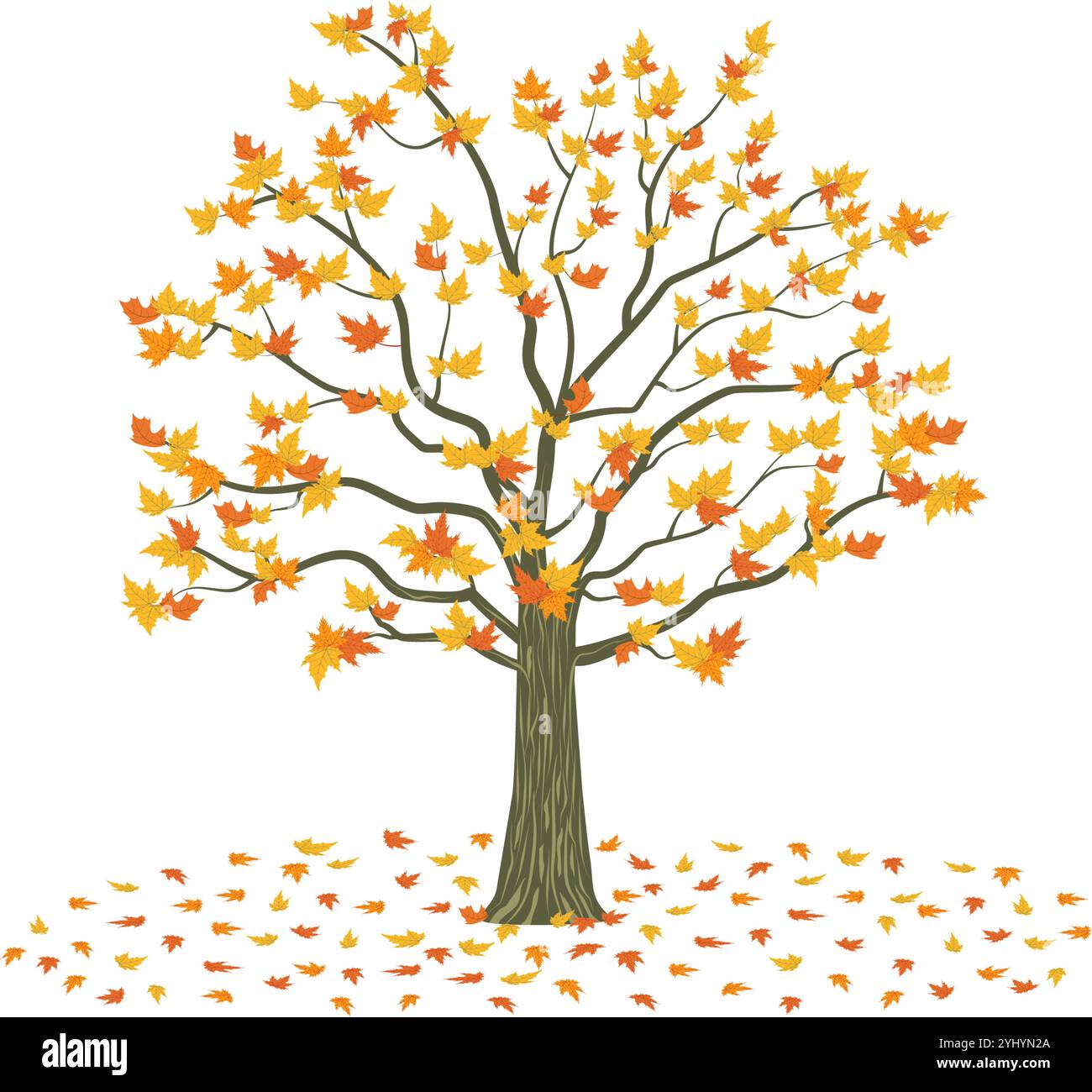 Herbstbaum, Ahornbaum mit gelber und orangener Blattfarbe. Vektorillustration isoliert auf weißem Hintergrund. Stock Vektor