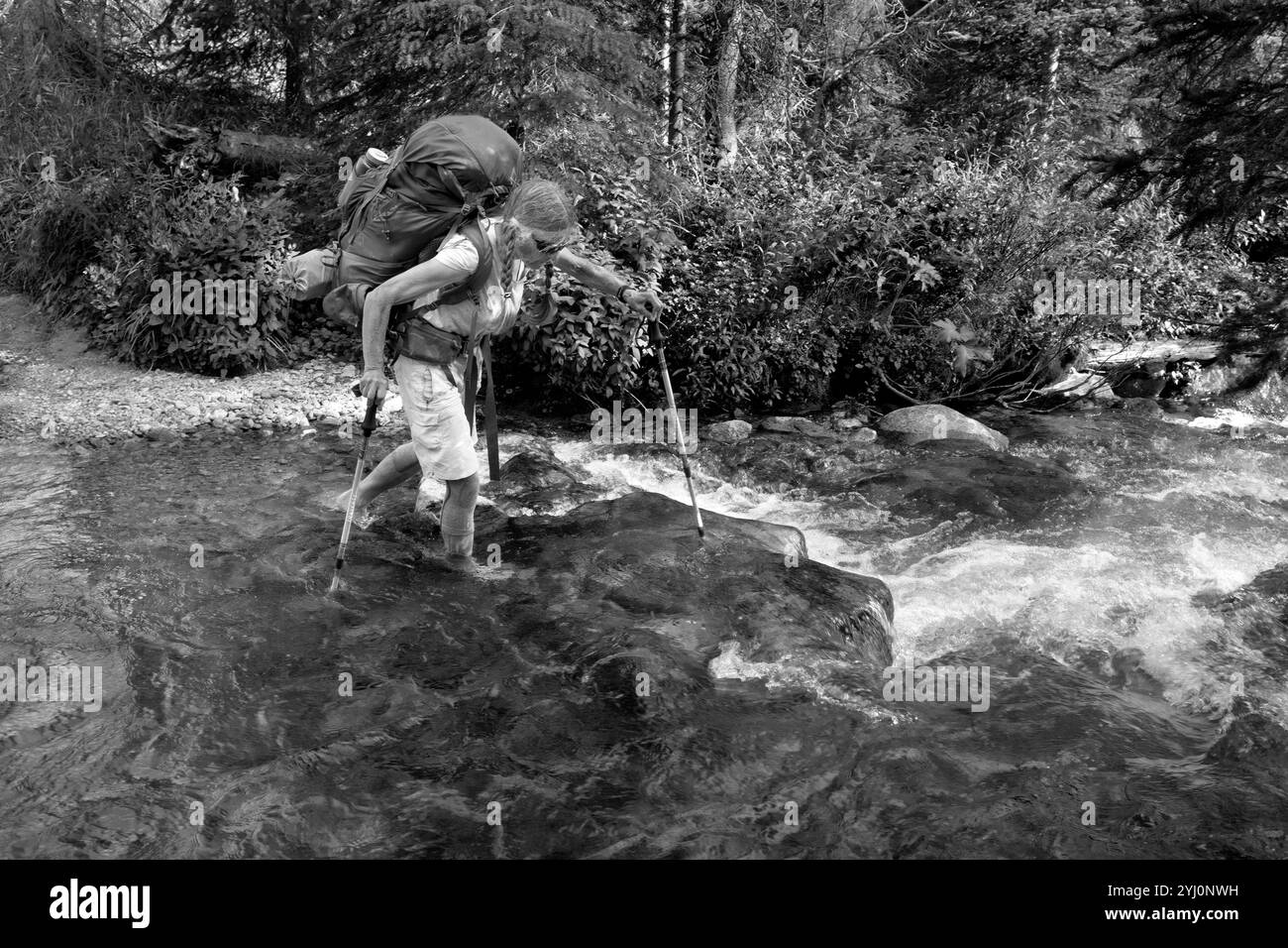 WY05483-00-BW....WYOMING - Backpackerin, die einen Bach entlang des Palmer Lake Trail in der Bridger Wilderness im Bridger National Forest überquert. MR# S1 Stockfoto