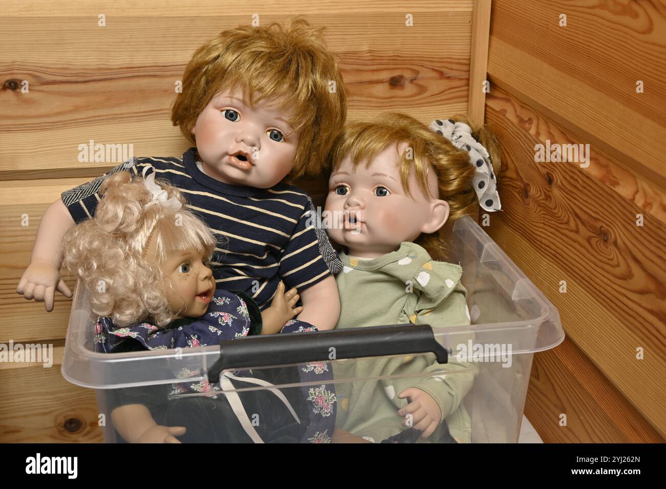 Dieses Bild zeigt eine Sammlung von Porzellan- oder Vinylpuppen im Vintage-Stil, die in einer transparenten Plastikbox vor einem hölzernen Hintergrund aufbewahrt werden. Die Puppe Stockfoto