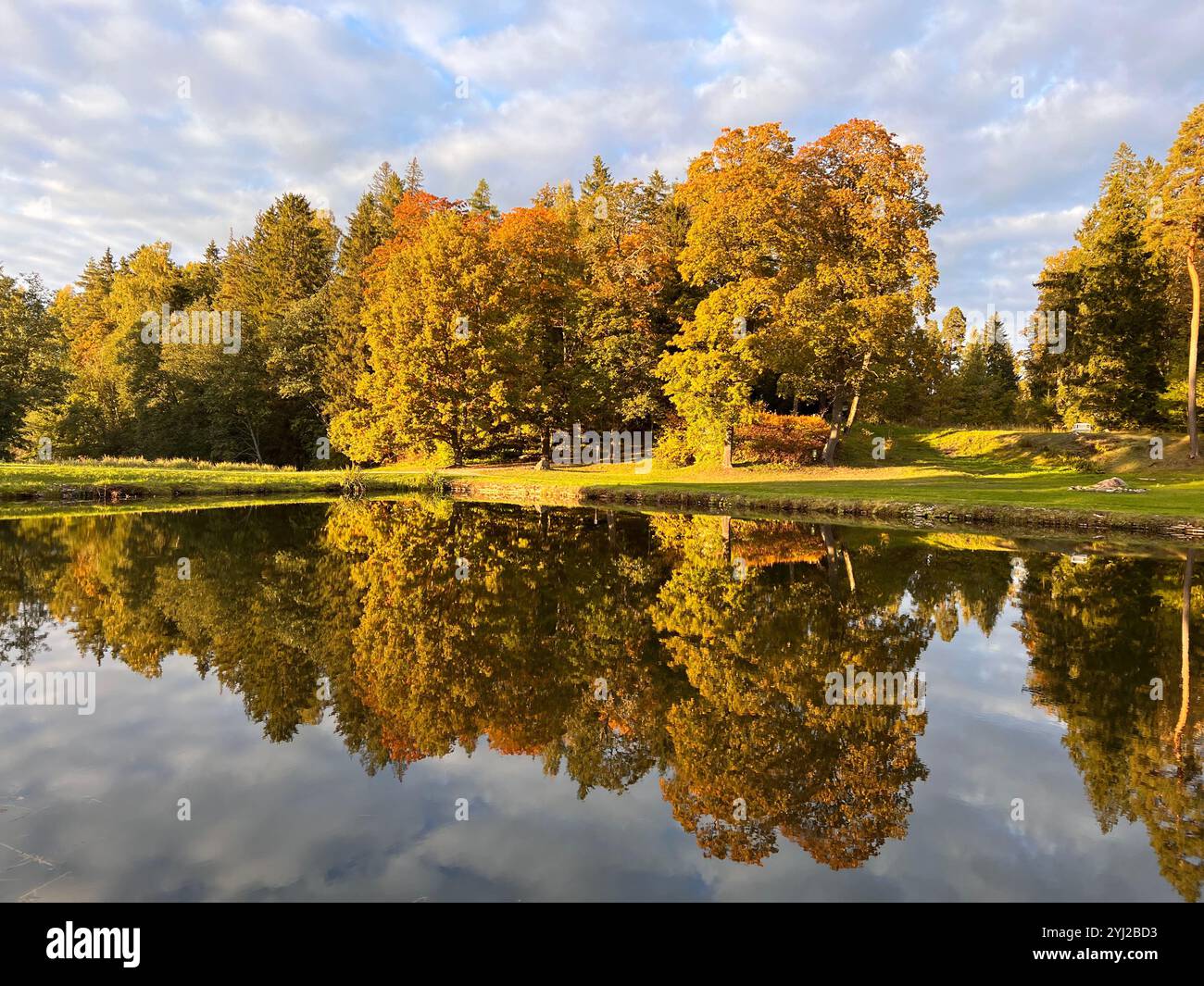Wunderschöner Herbst in Estland Stockfoto