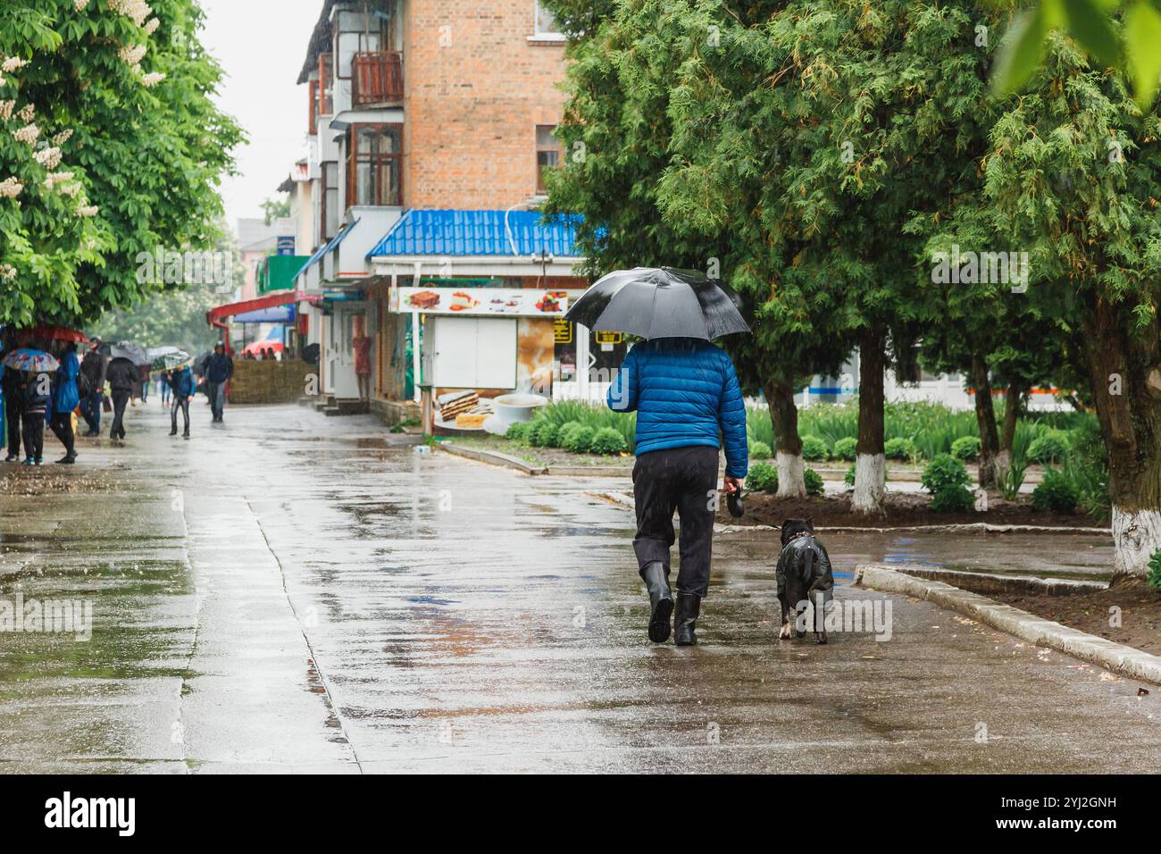 Ein Mann mit Hund läuft im Regen. Düsteres Wetter, Regen in der Stadt. Stockfoto