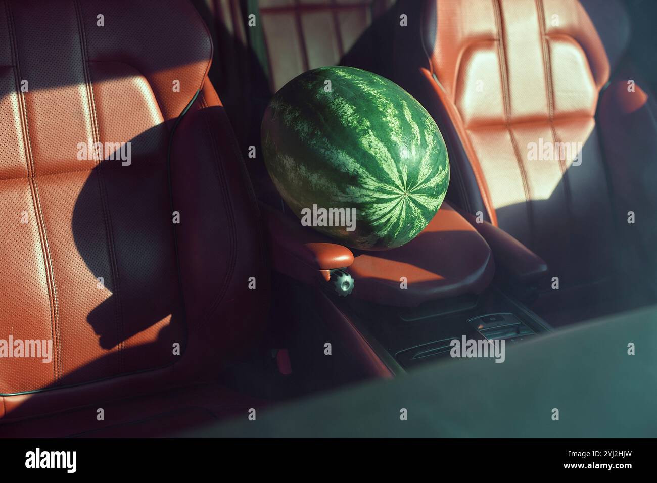Eine Wassermelone mit Sicherheitsgurt auf dem Beifahrersitz aus Leder bei Sonnenlicht, Marokko Stockfoto