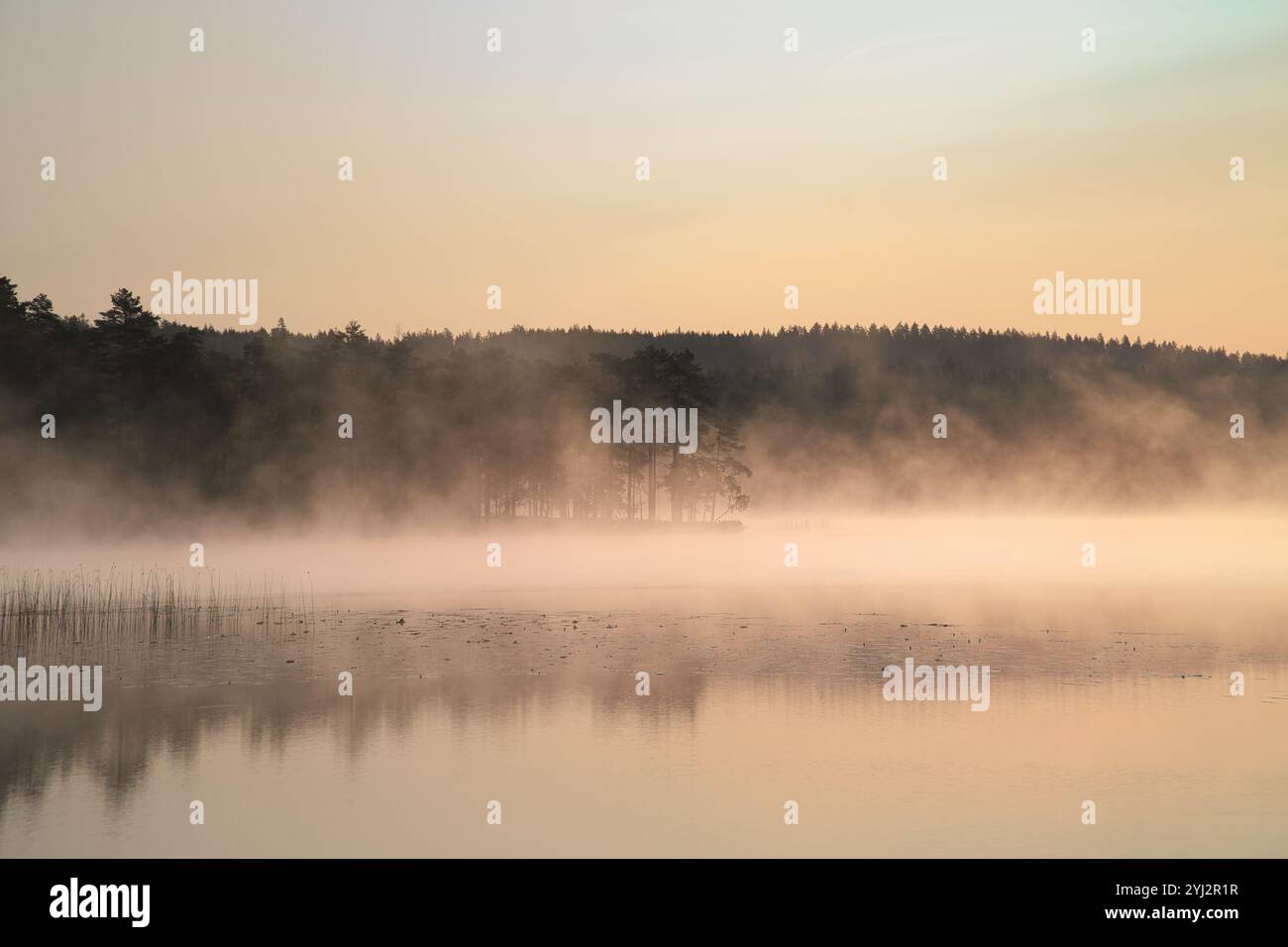 Sonnenaufgang mit Nebel über einem See in Schweden, bei Sonnenaufgang. Romantische Stille, in skandinavischer Natur Stockfoto