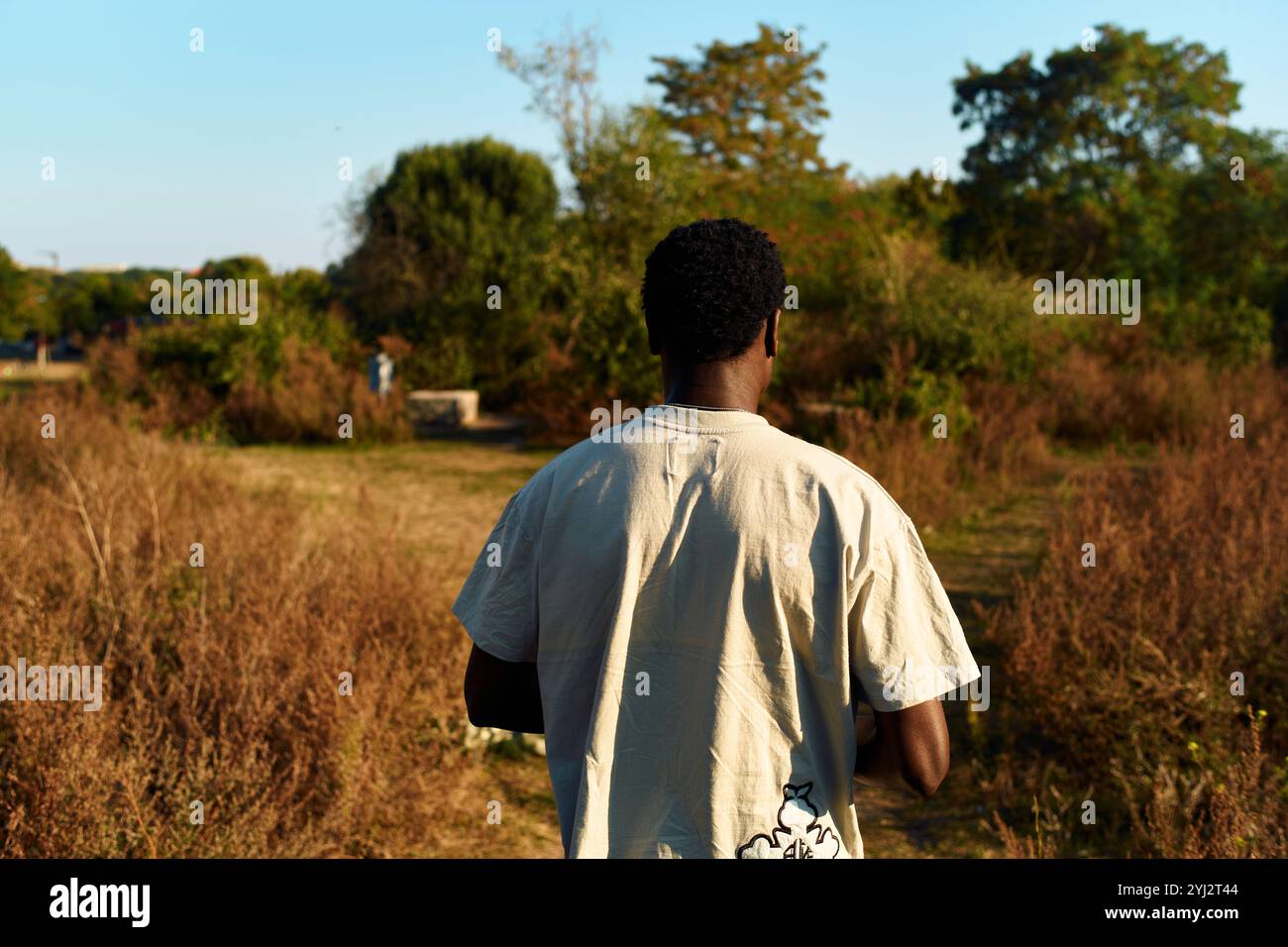 Mann, der an einem sonnigen Tag durch ein Feld geht, Berlin, Deutschland Stockfoto