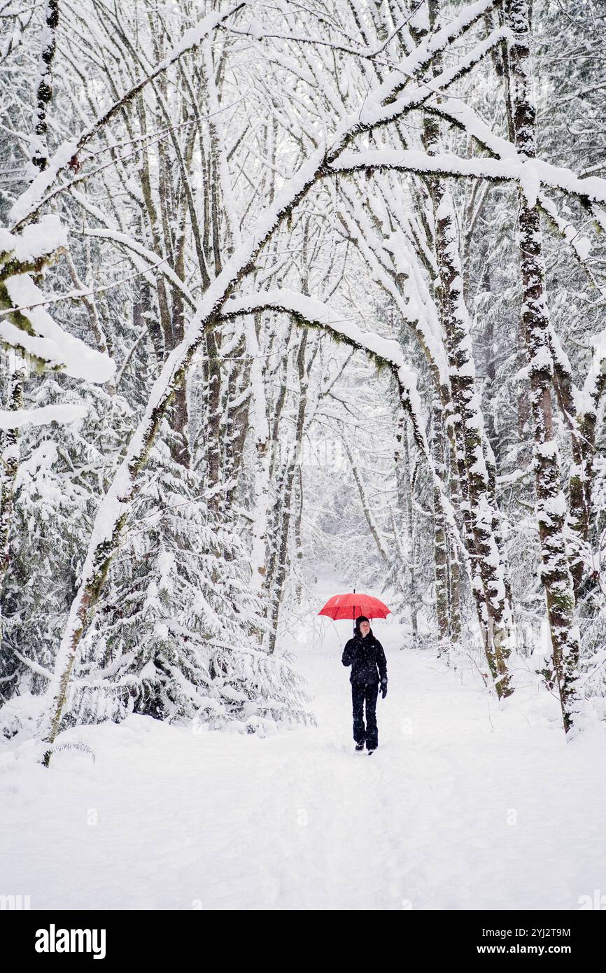 Eine Frau steht allein auf einem schneebedeckten Weg in einem winterlichen Wald und hält einen hellroten Regenschirm. Stockfoto