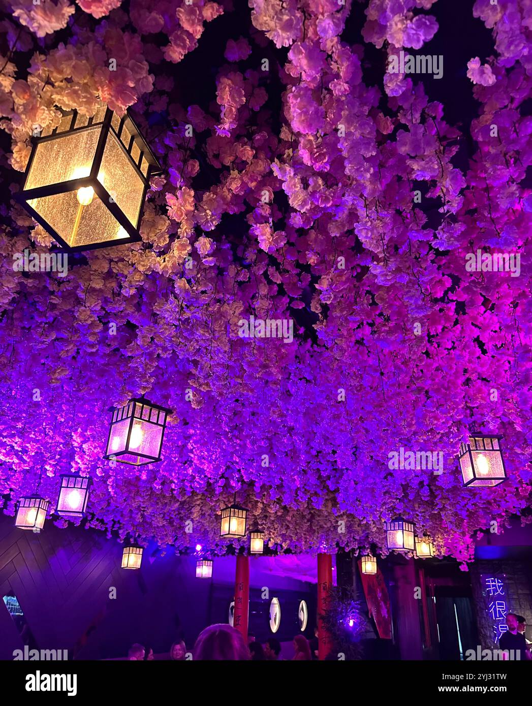 Wunderschöne Blumen bei Maggie Choo's - Smartphone-aufgenommenes Stockfoto