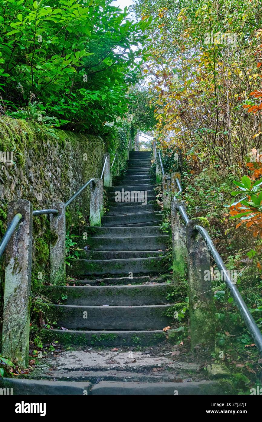 Radical Steps, Kirkby Lonsdale, Cumbria Stockfoto