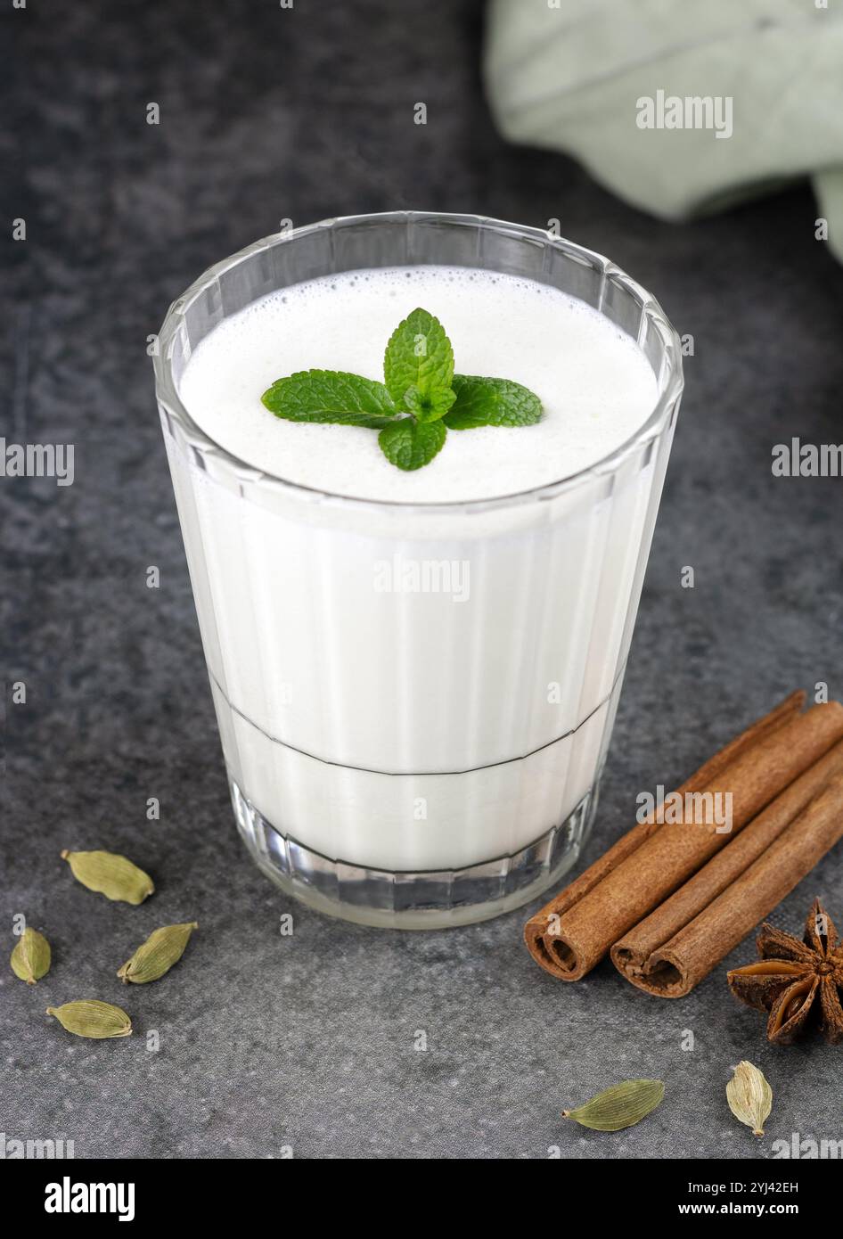 Traditionelles indisches Joghurtgetränk mit Gewürzen: Kardamom, Zimtstab und Minze auf grauem Hintergrund. Stockfoto