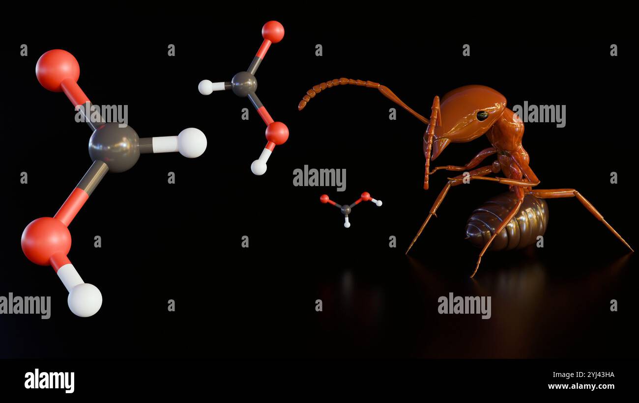 Durch die 3D-Verarbeitung von Formica rufa oder roter Holzameise kann es einen mächtigen Strahl Ameisensäure sprühen, eine chemische Waffe, die Feinde und Feinde abschrecken kann. Stockfoto