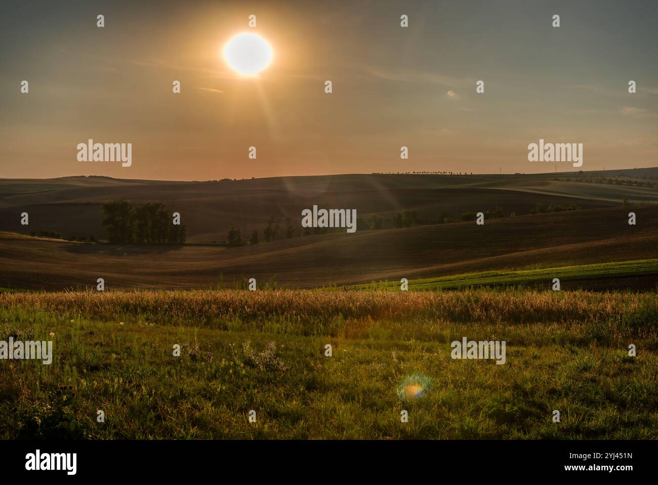 Perfektes Sonnenlicht auf den welligen Feldern der Landwirtschaft. Lage Ort der Region Südmähren, Tschechische Republik, Europa. Stockfoto