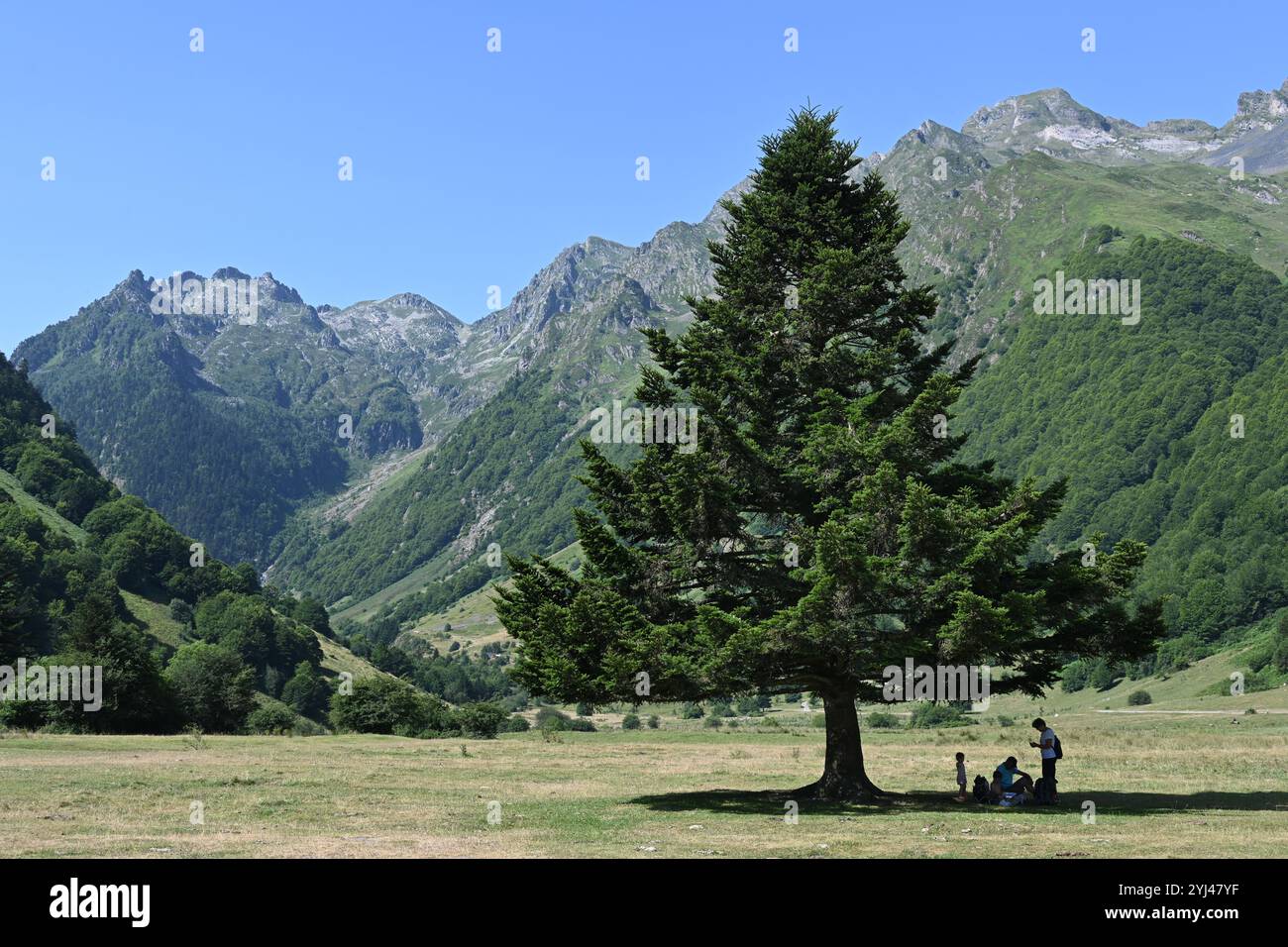 Menschen suchen nach Schatten unter einem Tannenbaum während einer Sumer-Hitzewelle im Estaing Valley Hautes-Pyrénées Pyrenäen Frankreich Stockfoto