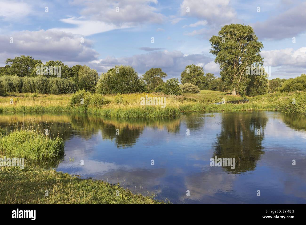 Trave bei Bad Oldesloe in Schleswig-Holstein, Deutschland, mit Reflexion des Himmels und der Vegetation im Wasser. Wiederanschluß Ochsenbogen Kneeden, Stockfoto