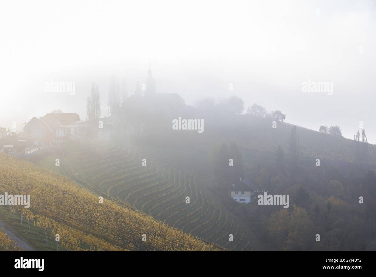Morgennebel über Weinberg, Silhouette der Kirche von Kitzeck, Kitzeck, Sausal, Steiermark, Österreich, Europa Stockfoto