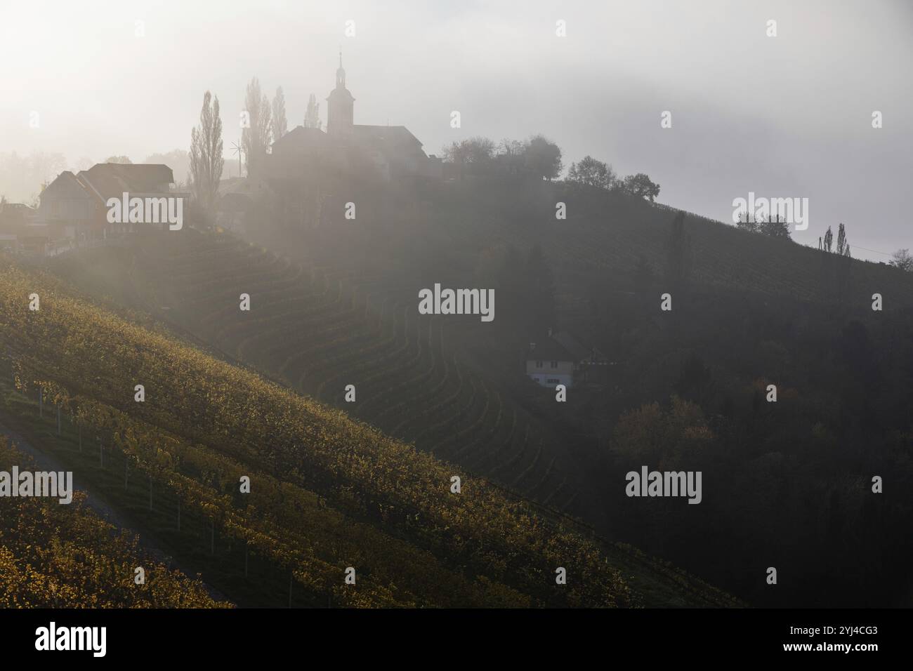 Morgennebel über Weinberg, Silhouette der Kirche von Kitzeck, Kitzeck, Sausal, Steiermark, Österreich, Europa Stockfoto