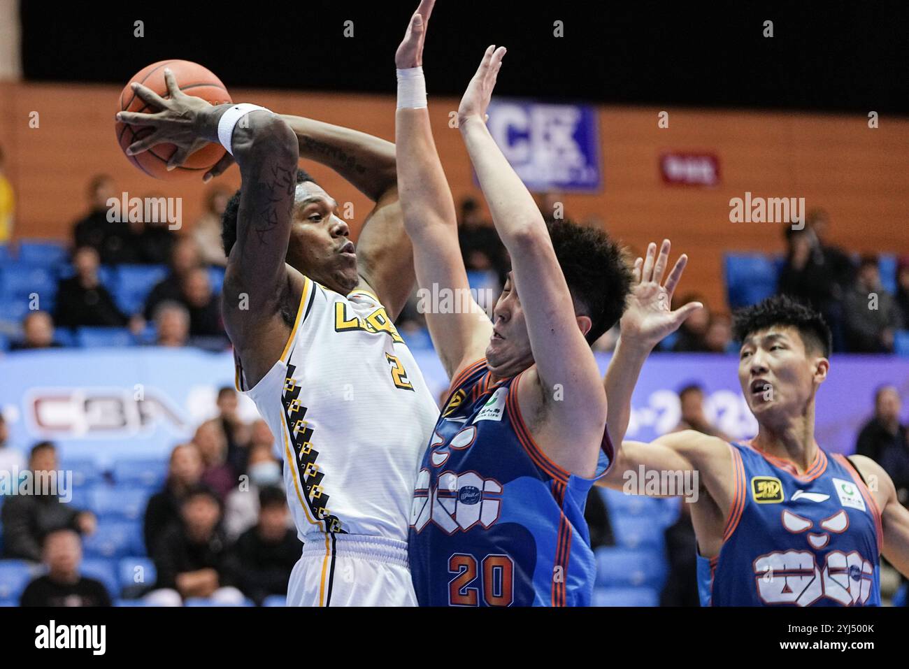 Yantai, chinesische Provinz Shandong. November 2024. Nathan Knight (L) von Zhejiang Lions übergibt den Ball während eines Spiels zwischen Sichuan Blauwalen und Zhejiang Lions beim Club Cup der chinesischen Basketball Association (CBA) in Yantai, ostchinesischer Provinz Shandong, 13. November 2024. Quelle: Zhu Zheng/Xinhua/Alamy Live News Stockfoto