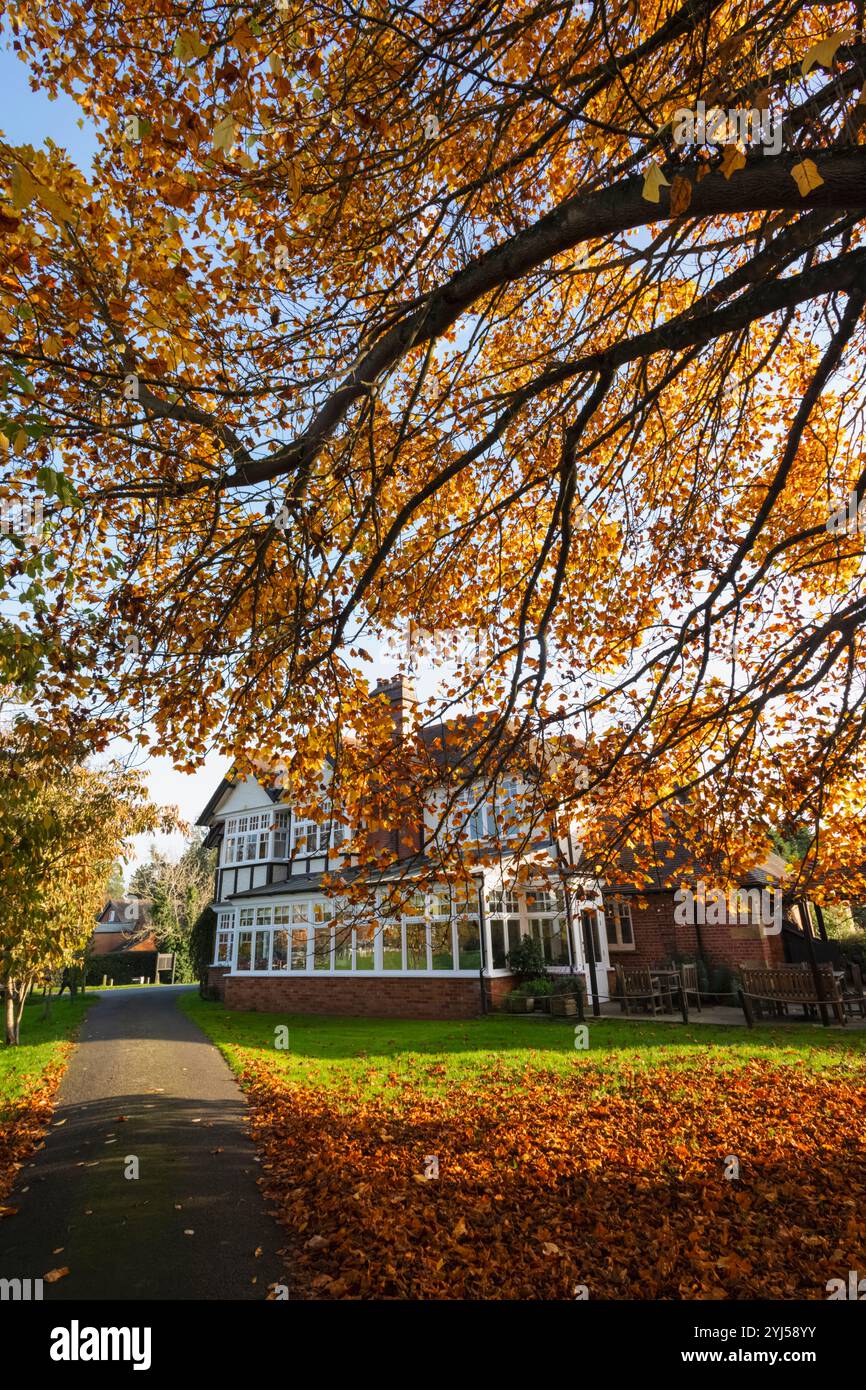 England, Kent, Tunbridge Wells, Langton Green, The Hare Pub und farbenfrohe Herbstblätter Stockfoto