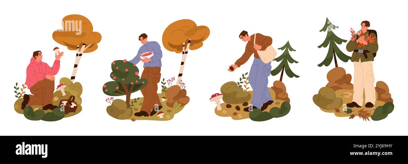 Outdoor-Aktivitäten im Herbst oder Waldernten. Vektorillustrationen oder Banner Set. Sammeln Sie Preiselbeeren oder Pilze, pflücken Sie Pinienzapfen oder Herbarium. Stock Vektor