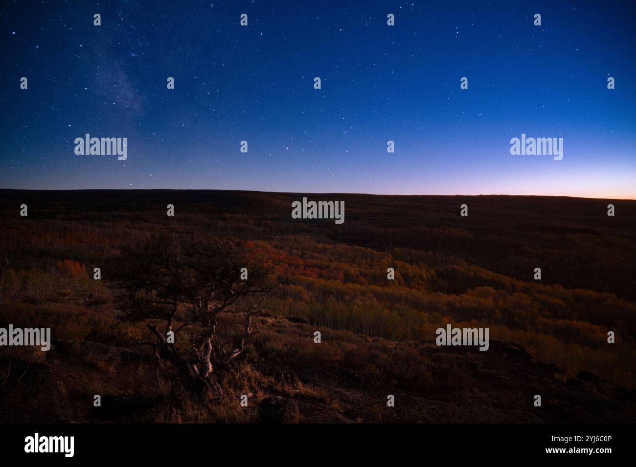 Ein Hauch von der Milchstraße im Abendhimmel über dem Aspenhain am Steen Mountain in Oregon. Stockfoto