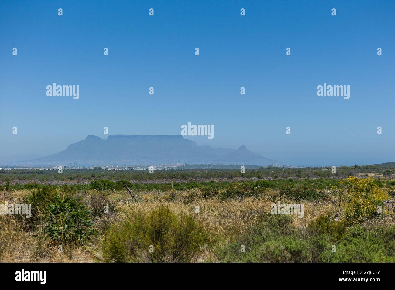 Der Blick auf den Tafelberg vom Blaauwberg Nature Reserve, Kapstadt, Südafrika. Blaauwberg ist ein wichtiger Ort für Cape Flats Sand Fynbos Arten Stockfoto