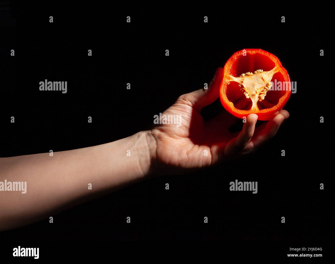 Geschnittene Paprika in der Hand auf schwarzem Hintergrund Stockfoto