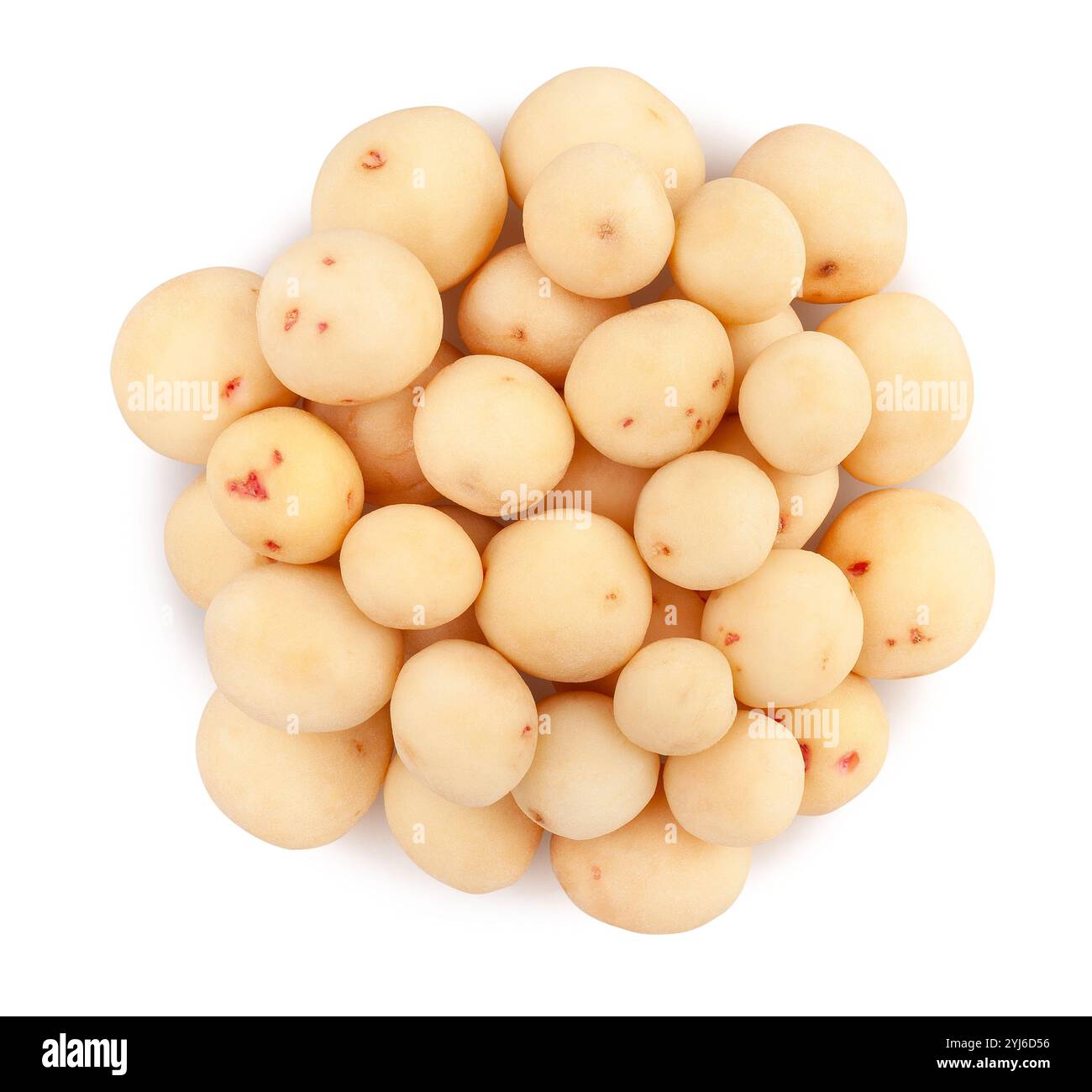 Junger Kartoffelweg isoliert auf weißem Draufsicht Stockfoto