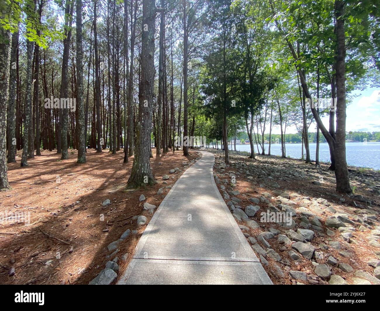 Malerischer Blick auf den Wald an einem Sommertag in Peachtree City, Georgia, USA Stockfoto