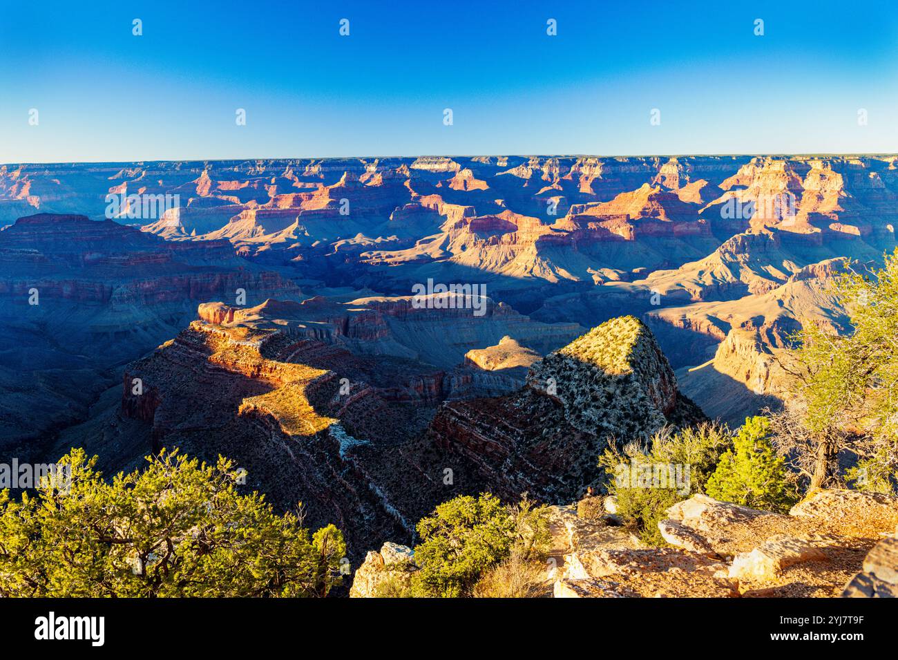 Warmes Licht am späten Tag; Grandview Point; Grand Canyon National Park; Arizona: USA Stockfoto