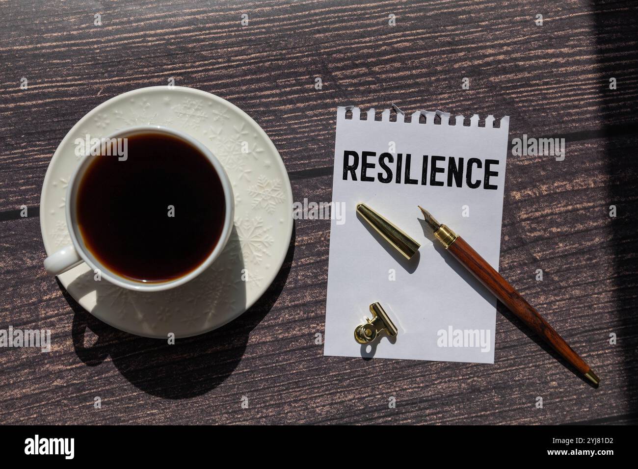 Resilienz – Wortkonzept auf Bausteinen, Text, Buchstaben. Stockfoto