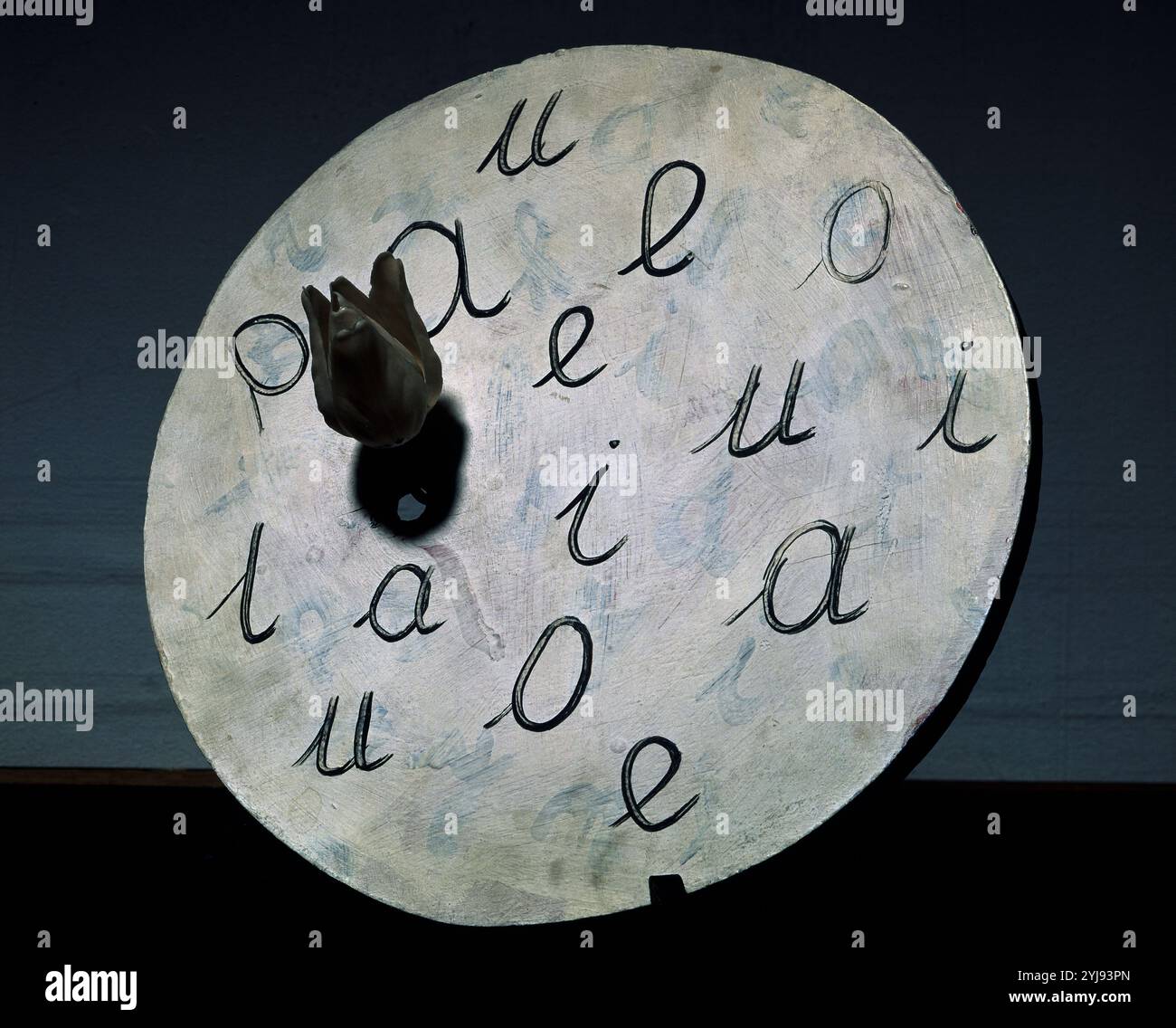 Die Sprache der Blumen. Sprache des Fleurs. Madrid, Reina Sofia Museum. Autor: MARCEL BROODTHAERS (1924-1976). ORT: MUSEO REINA SOFIA-ESCULTURA. MADRID. SPANIEN. Stockfoto