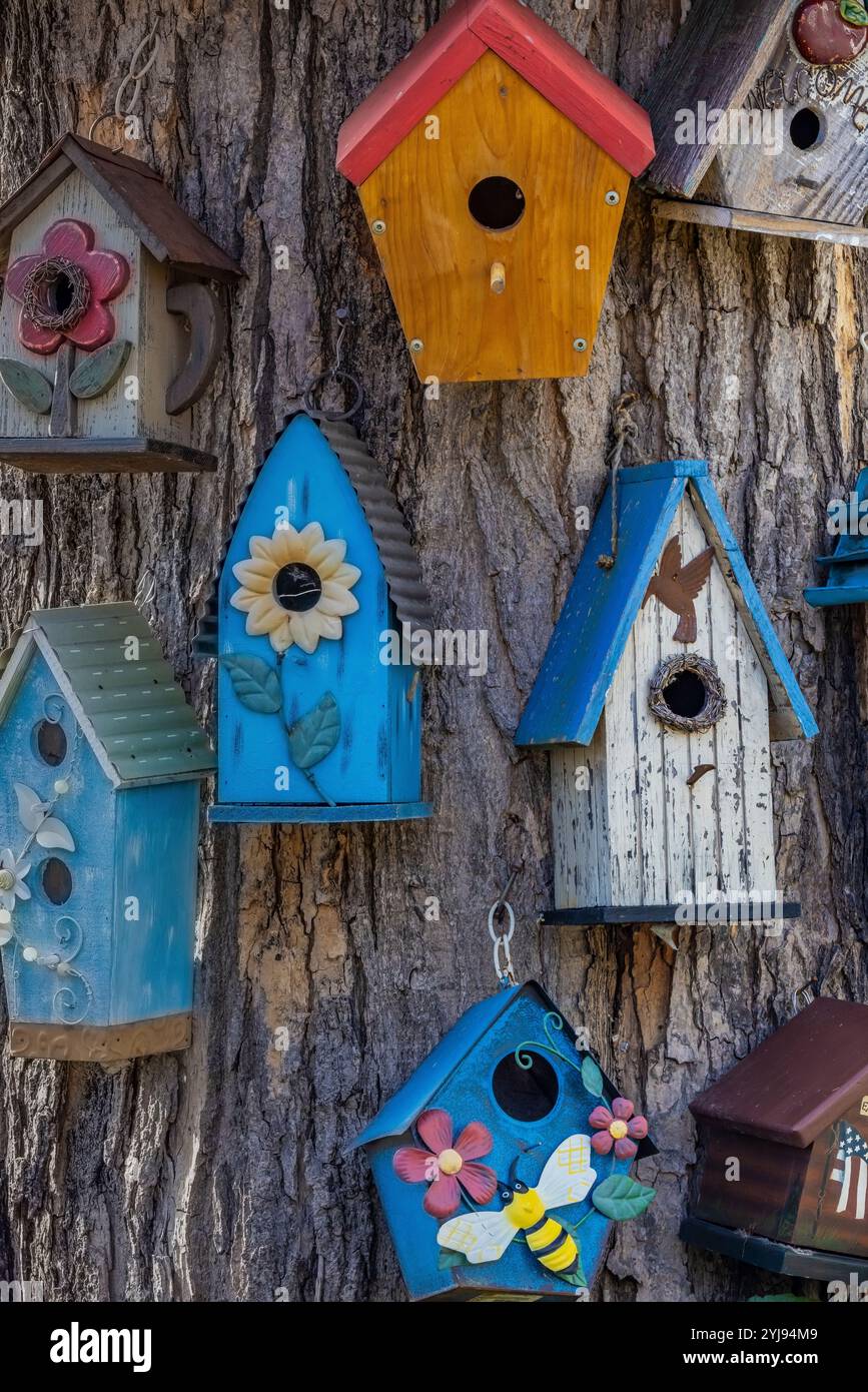 Vogelhäuser auf einem Baum in Traverse City, Michigan, USA [keine Veröffentlichungen; nur redaktionelle Lizenzierung} Stockfoto