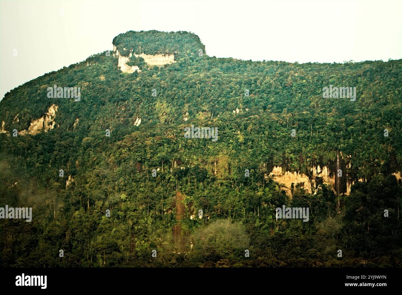 Der Regenwald auf Bukit Tilung, ein heiliger Hügel nach den Einheimischen, ist vom Dorf Nanga Raun aus gesehen, Kalis, Kapuas Hulu, West Kalimantan, Indonesien. Stockfoto