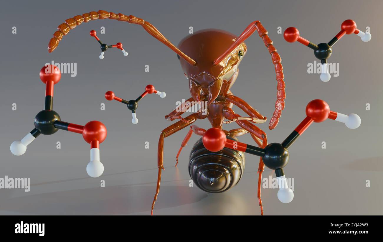 Durch die 3D-Verarbeitung von Formica rufa oder roter Holzameise kann es einen mächtigen Strahl Ameisensäure sprühen, eine chemische Waffe, die Feinde und Feinde abschrecken kann. Stockfoto
