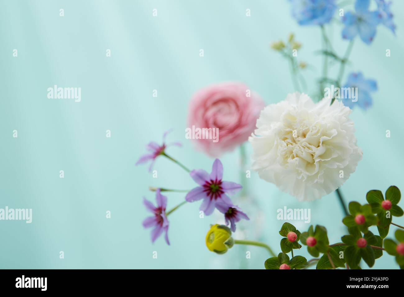 Bunte Blumen und Licht Stockfoto