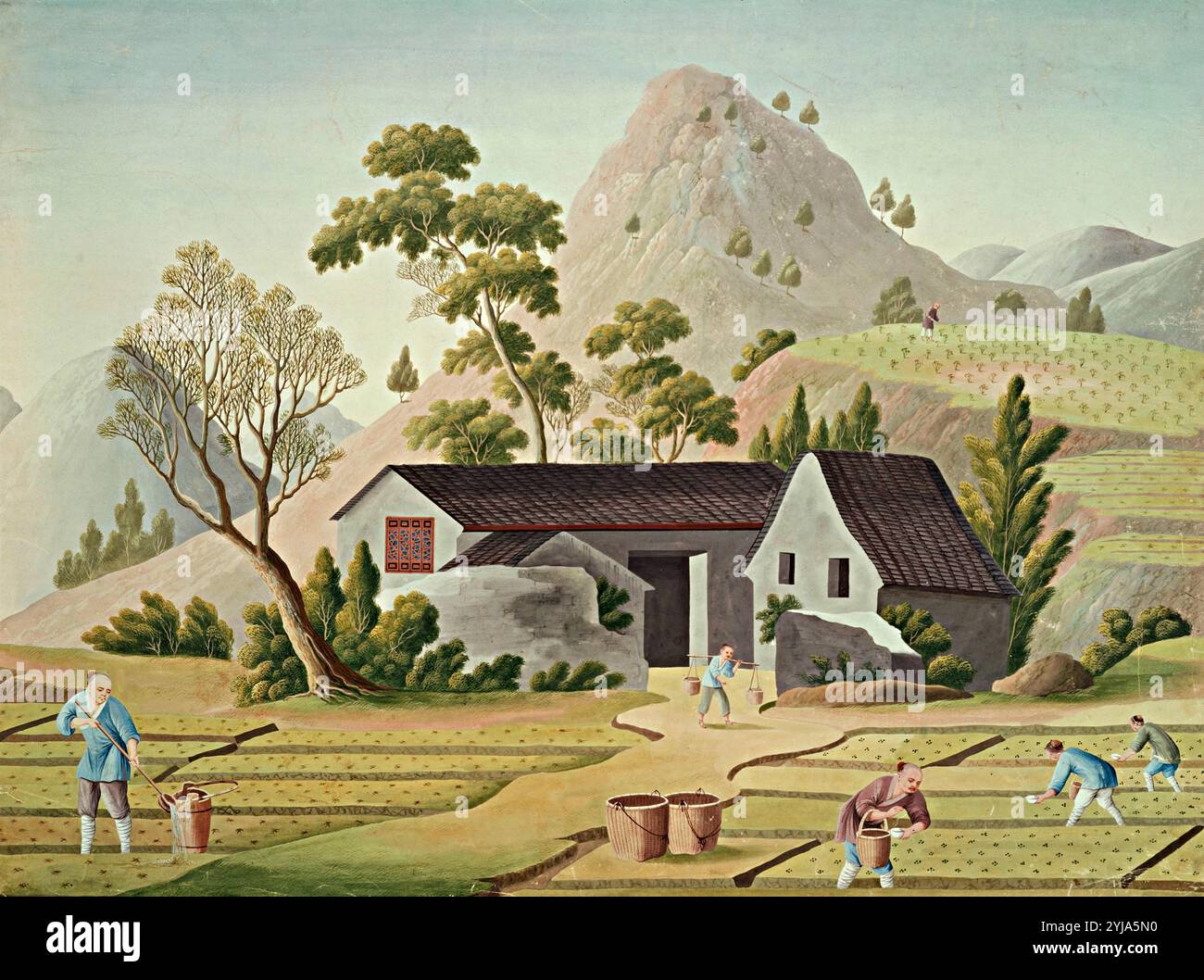 "Chinesische Bauern auf den Reisfeldern". MUSEUM: KOSTENLOSE BIBLIOTHEK, BUDAPEST, USA. Stockfoto