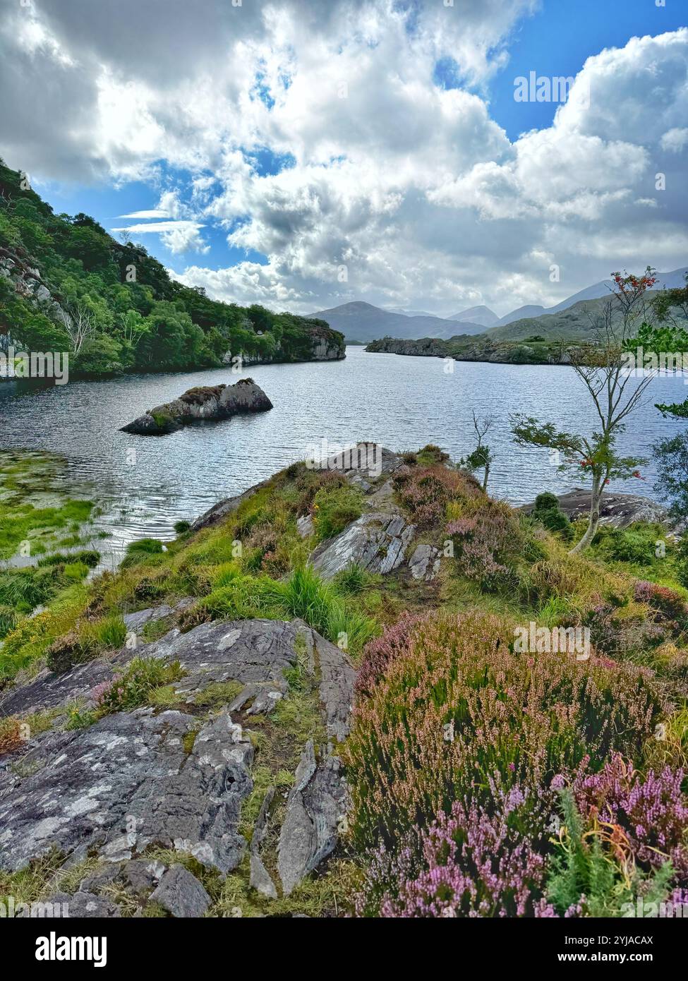 Killarney-Nationalpark, Lough Leane, County Kerry, Irland. Stockfoto