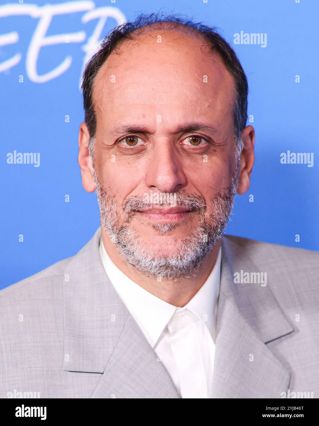 LOS ANGELES, KALIFORNIEN, USA - 13. NOVEMBER: Luca Guadagnino kommt bei der Premiere von A24 'Queer' am 13. November 2024 im Directors Guild of America Theater Complex in Los Angeles, Kalifornien, USA. (Foto: Xavier Collin/Image Press Agency) Stockfoto