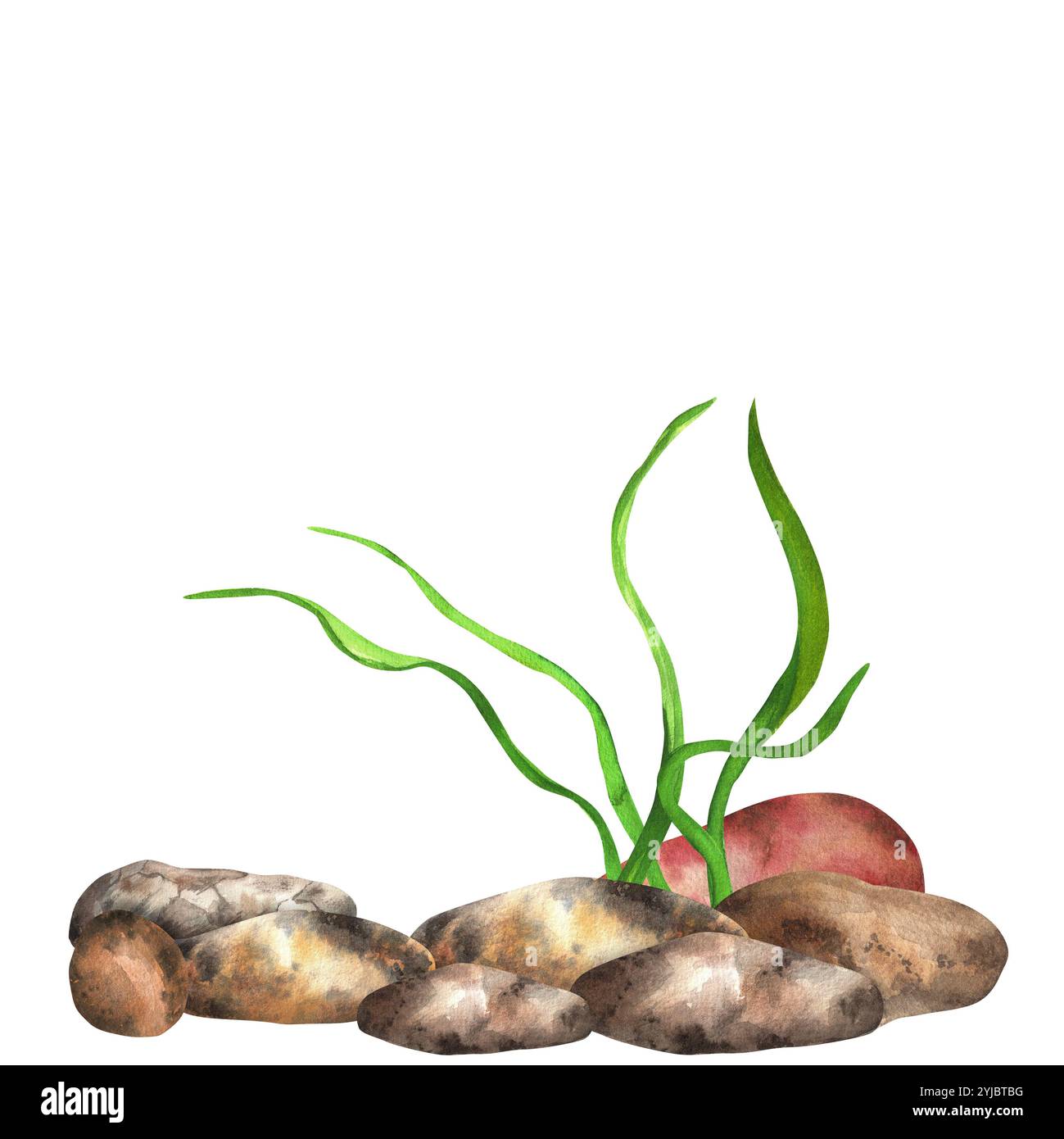 Flusssteine und Algen. Fluss, See, Meeresboden. Angelclipart. Handgezeichnete Aquarellillustration. Stockfoto